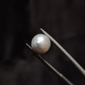 Pearl | Pearl 285 | 4.73 Carat