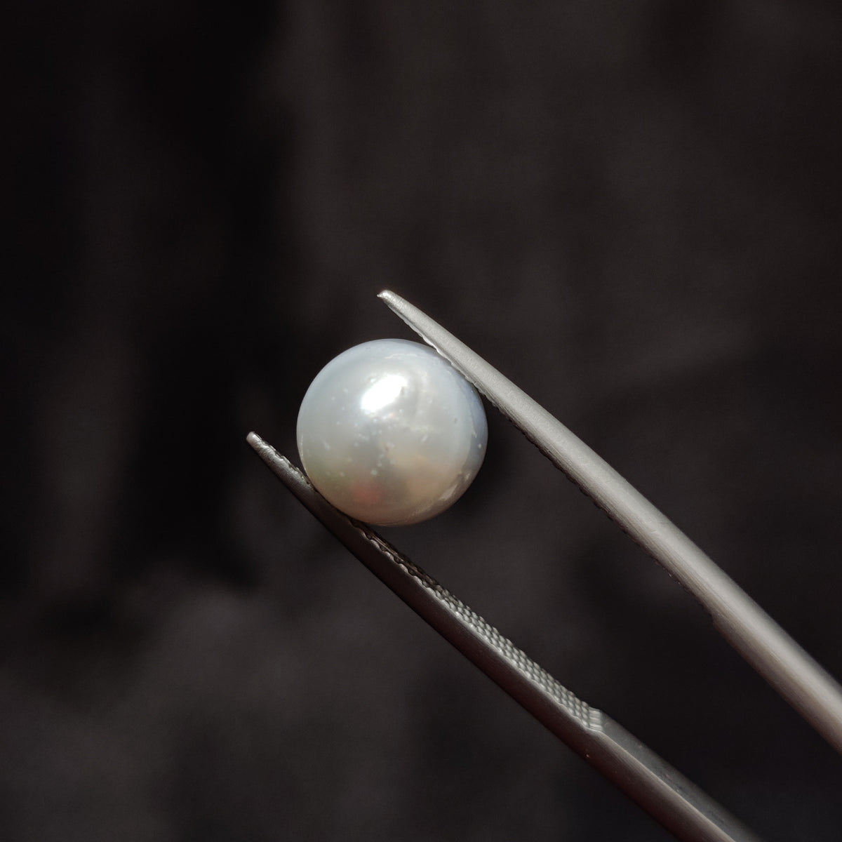 Natural Pearl (Moti) | Pearl 285 | 4.73 Carat | Certified