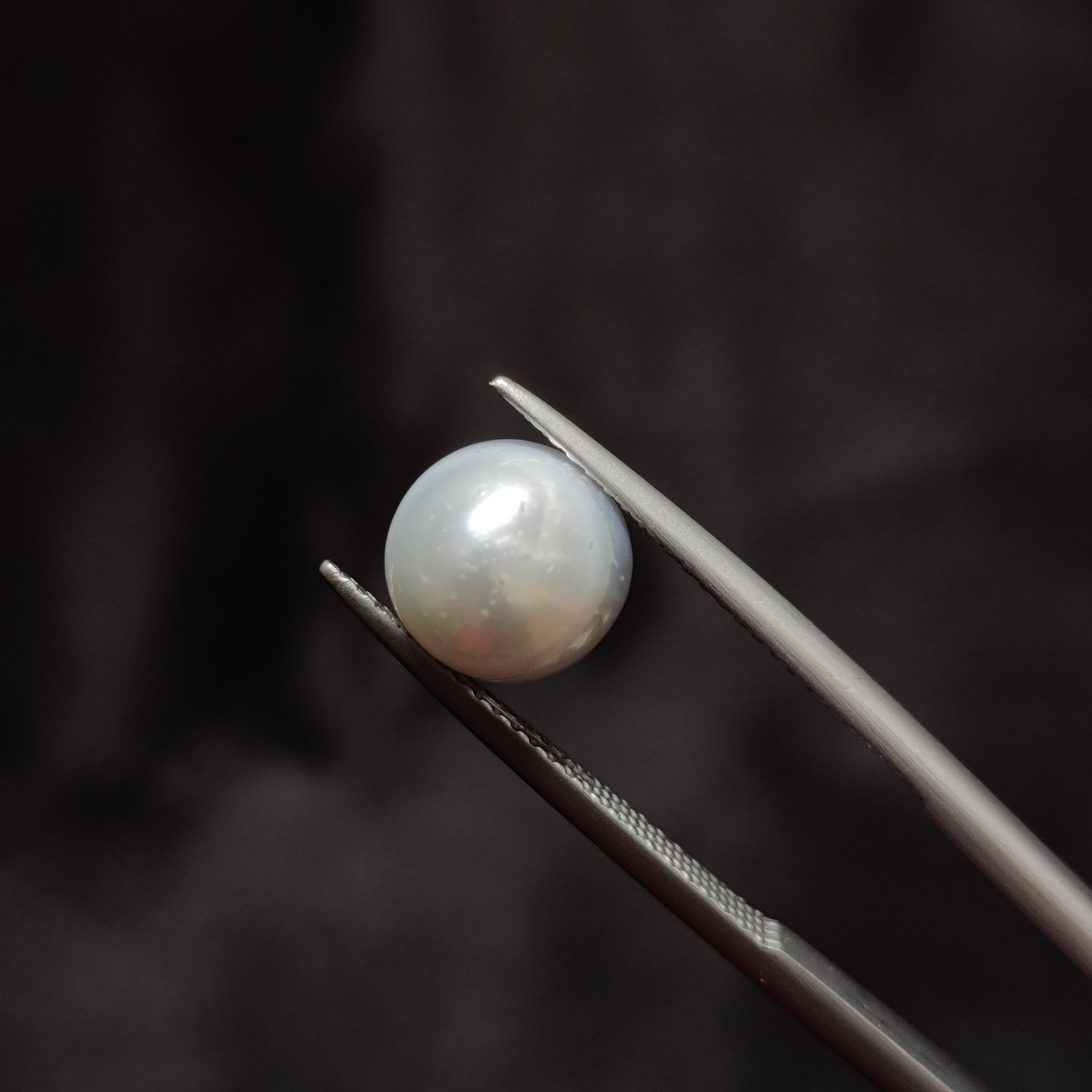 Pearl | Pearl 285 | 4.73 Carat