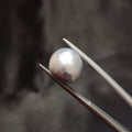 Pearl | Pearl 308 | 9.37 Carat
