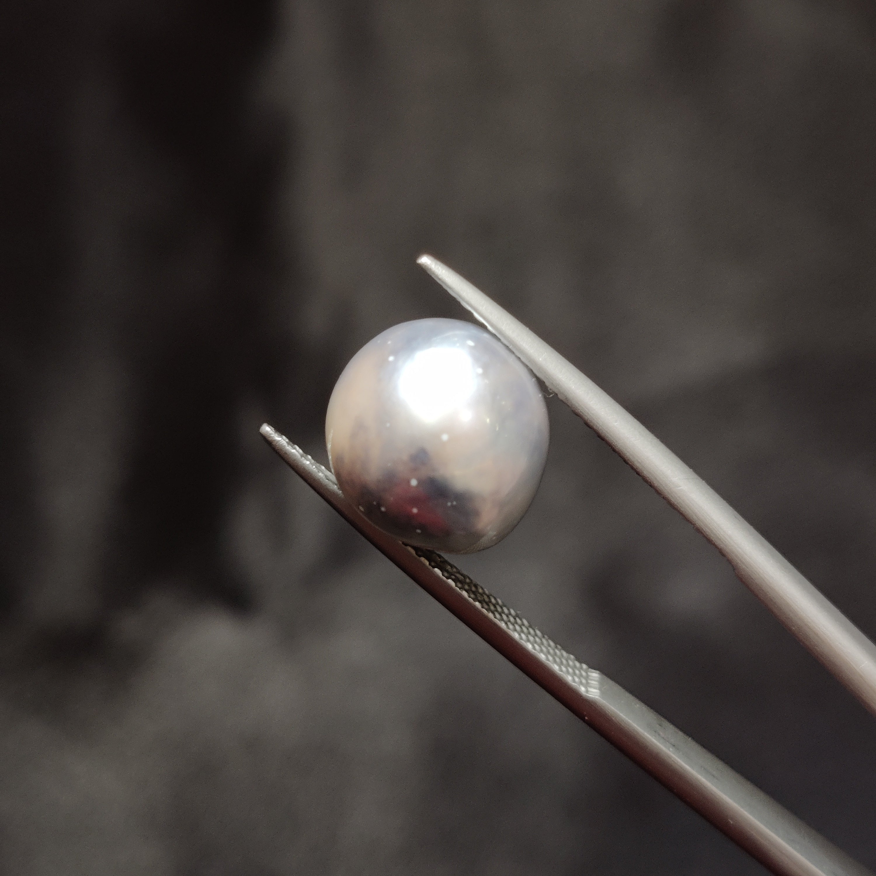 Pearl | Pearl 308 | 9.37 Carat