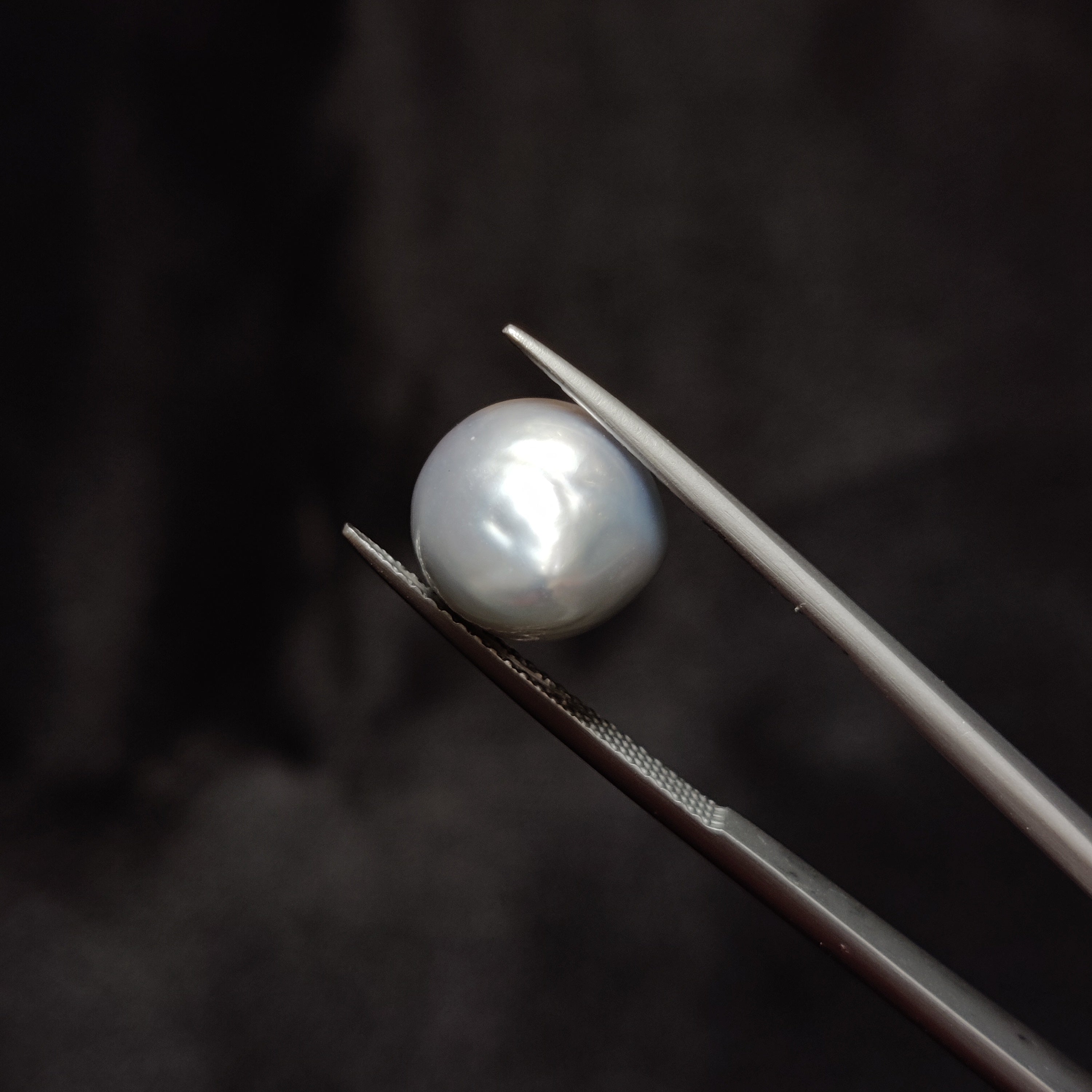 Pearl | Pearl 308 | 9.37 Carat