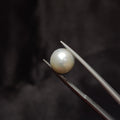Pearl | Pearl 314 | 5.78 Carat