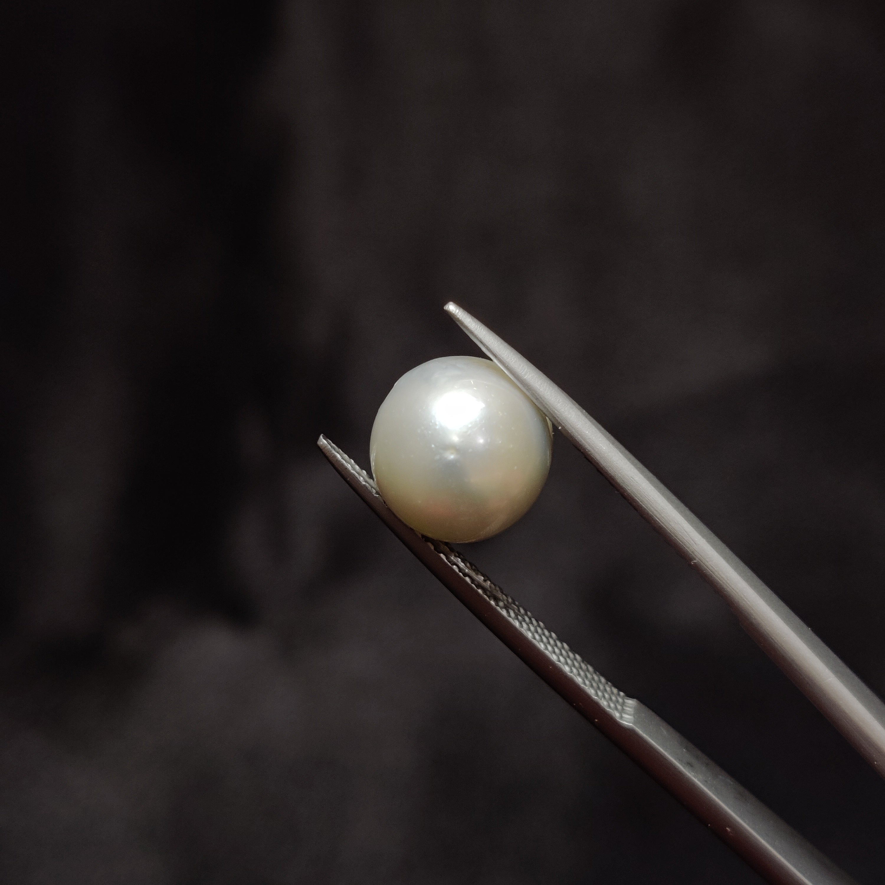 Pearl | Pearl 314 | 5.78 Carat