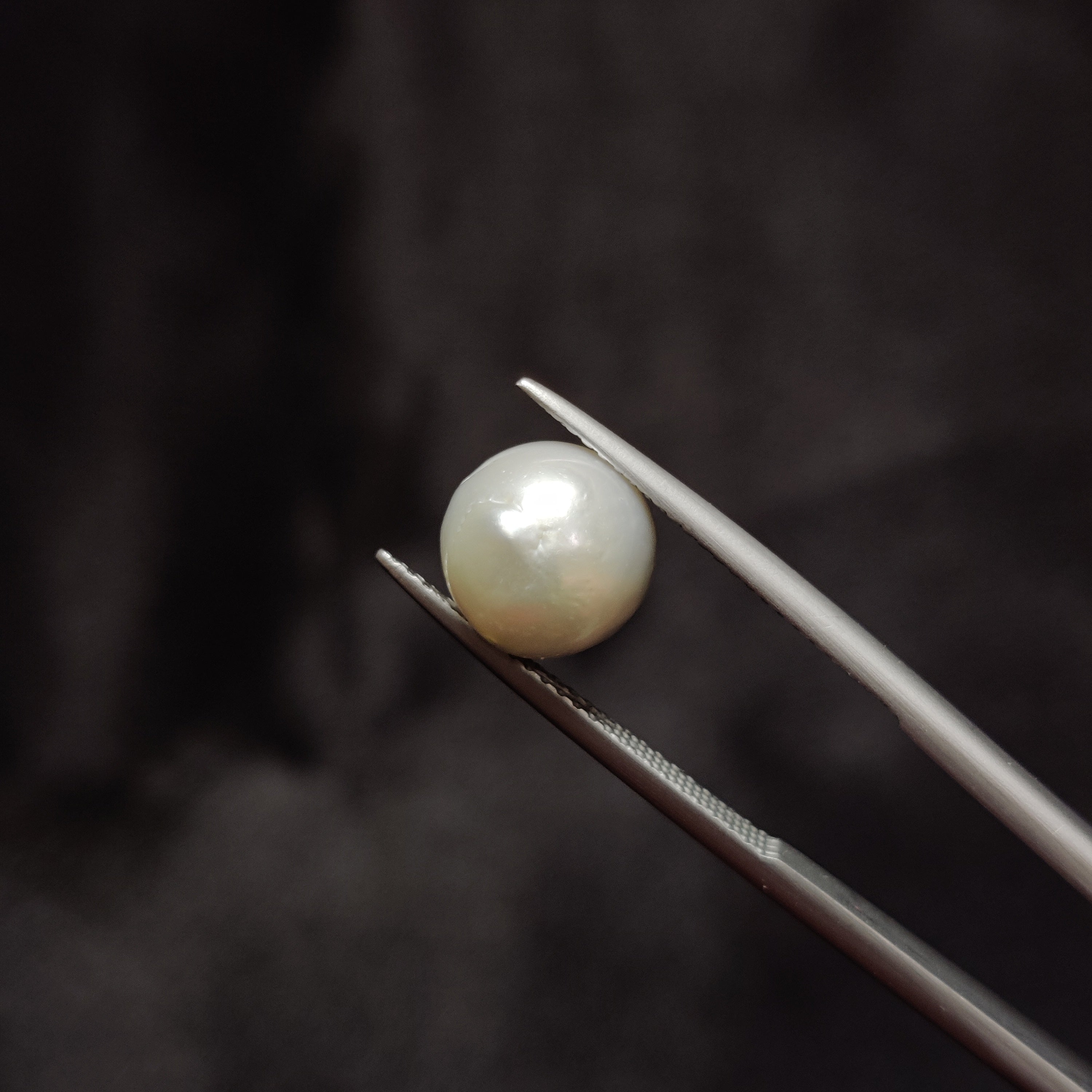 Pearl | Pearl 314 | 5.78 Carat