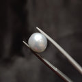 Pearl | Pearl 323 | 4.83 Carat