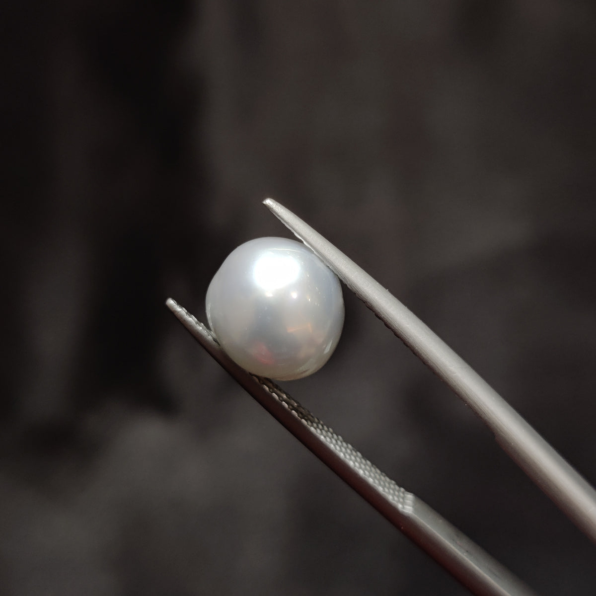 Natural Pearl (Moti) | Pearl 323 | 4.83 Carat | Certified