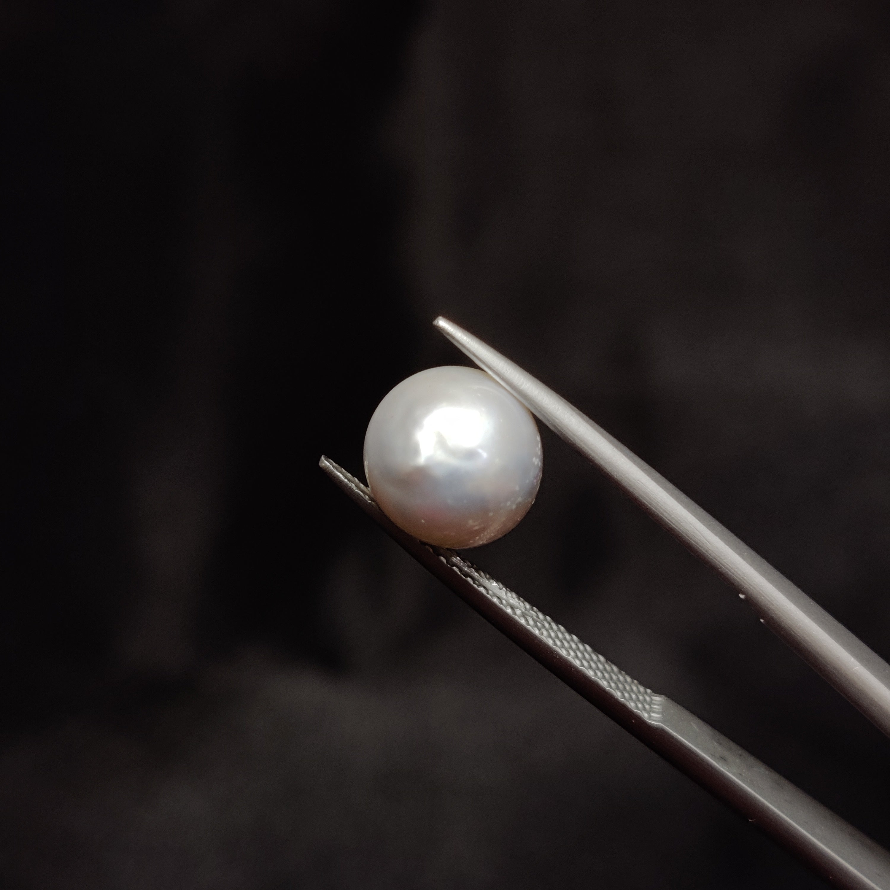 Pearl | Pearl 291 | 5.06 Carat