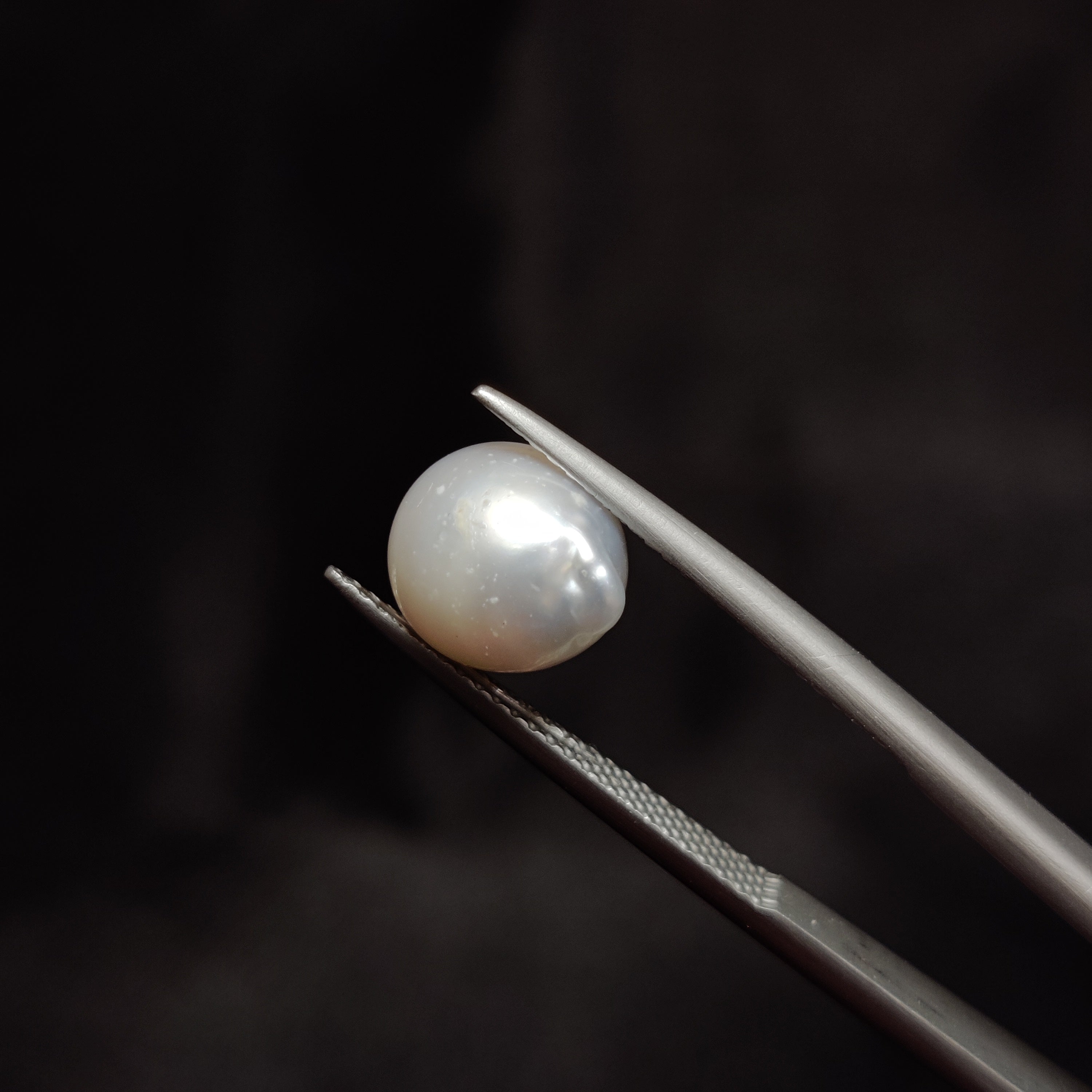 Pearl | Pearl 291 | 5.06 Carat