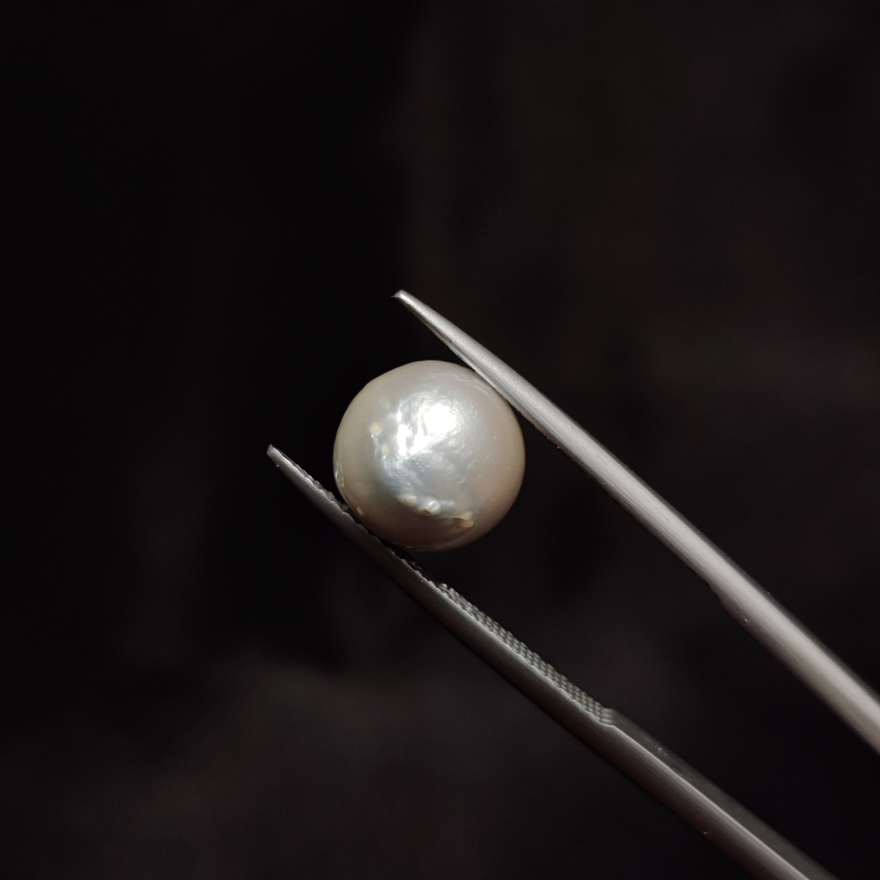 Pearl | Pearl 304 | 5.47 Carat