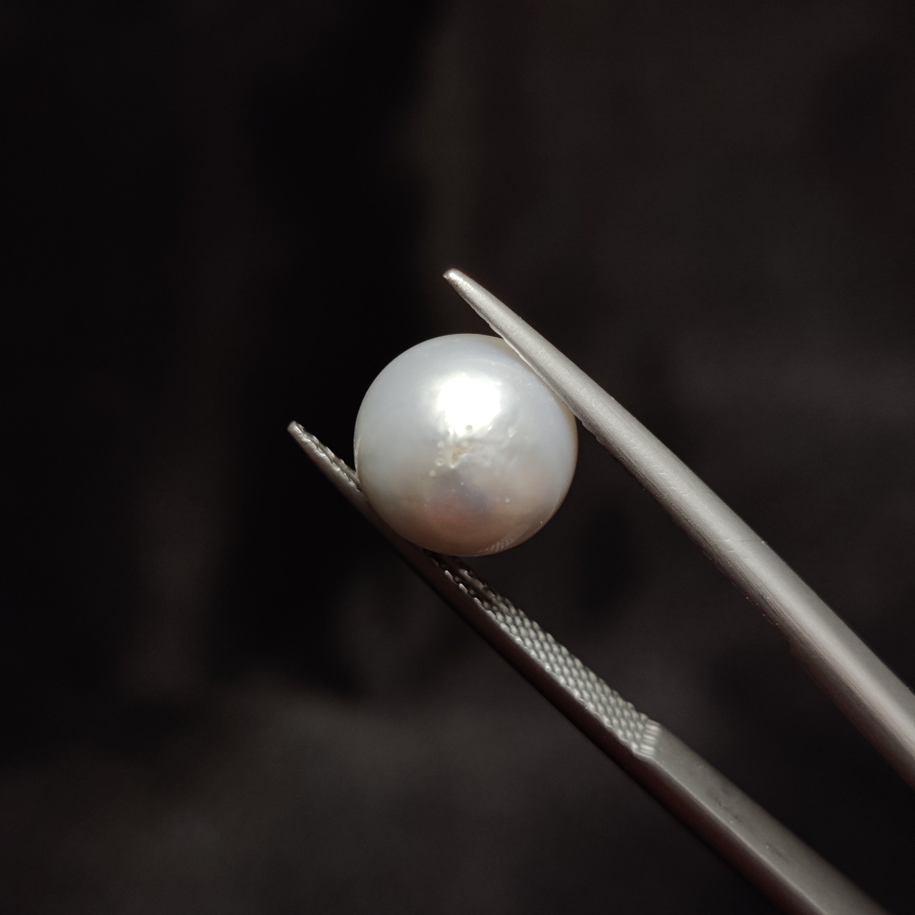 Pearl | Pearl 309 | 6.16 Carat