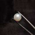 Pearl | Pearl 292 | 10.25 Carat
