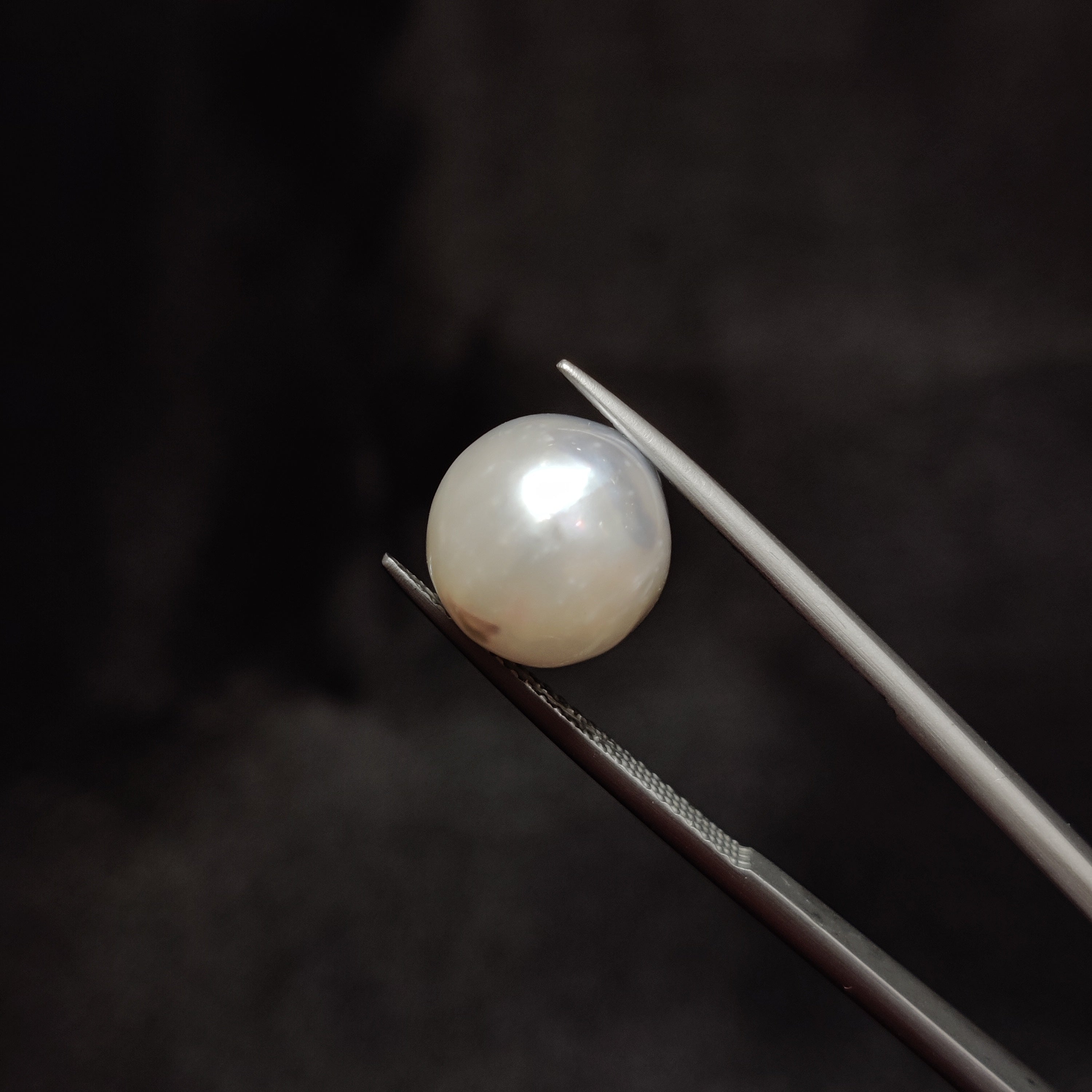 Pearl | Pearl 292 | 10.25 Carat