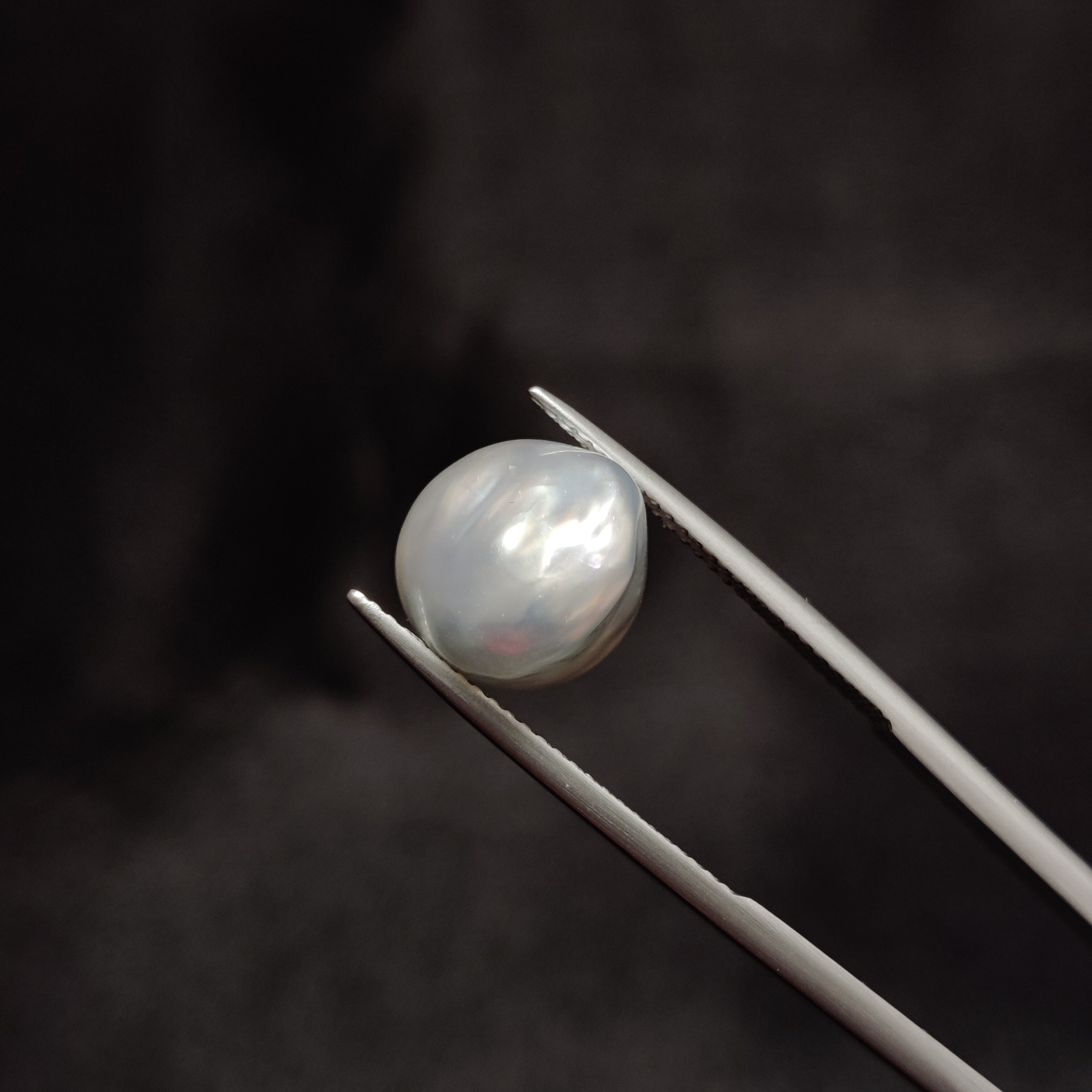 Pearl | Pearl 292 | 10.25 Carat
