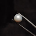 Pearl | Pearl 296 | 6.3 Carat