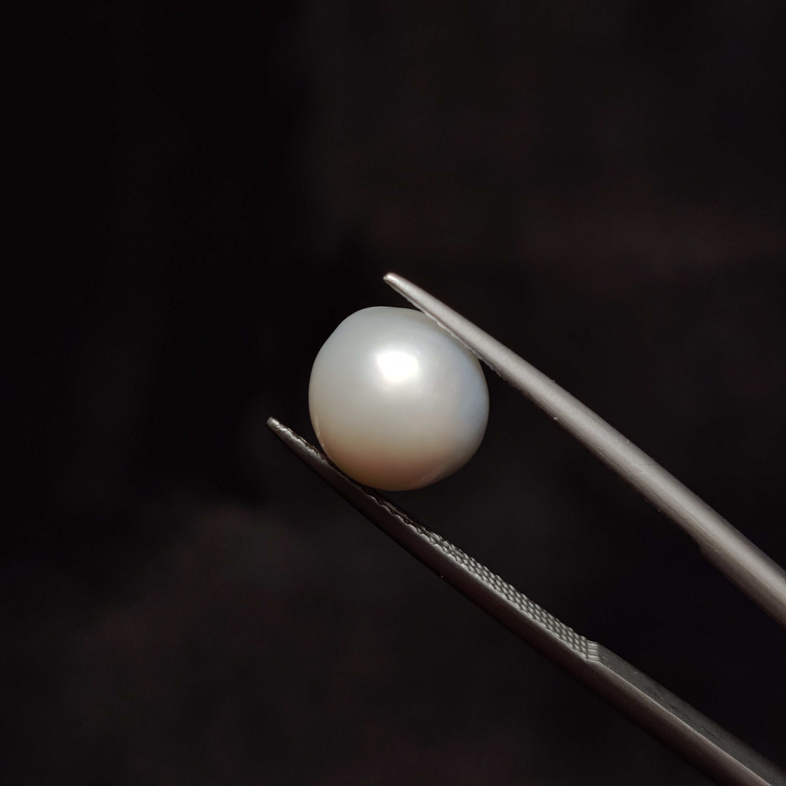 Pearl | Pearl 296 | 6.3 Carat