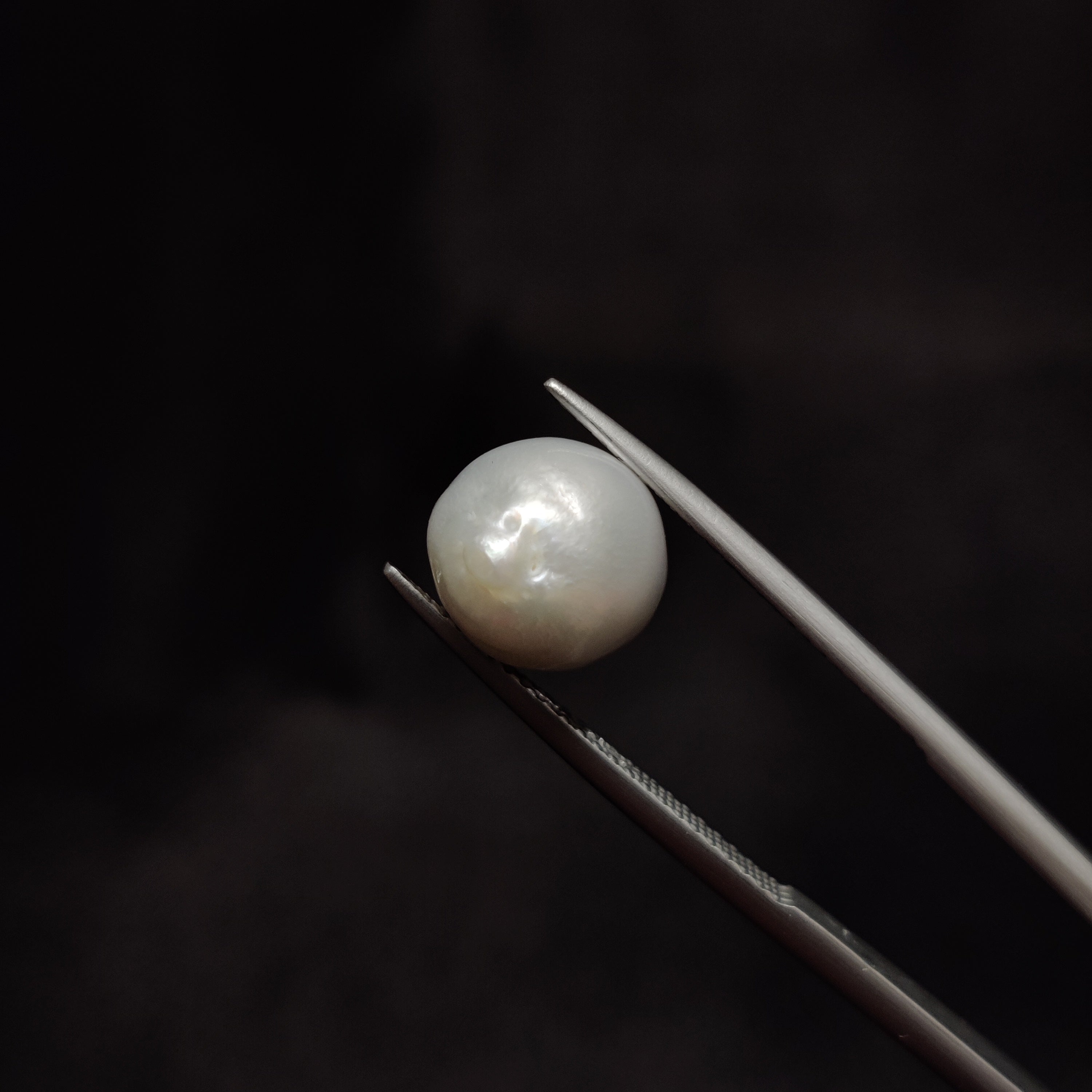Pearl | Pearl 296 | 6.3 Carat
