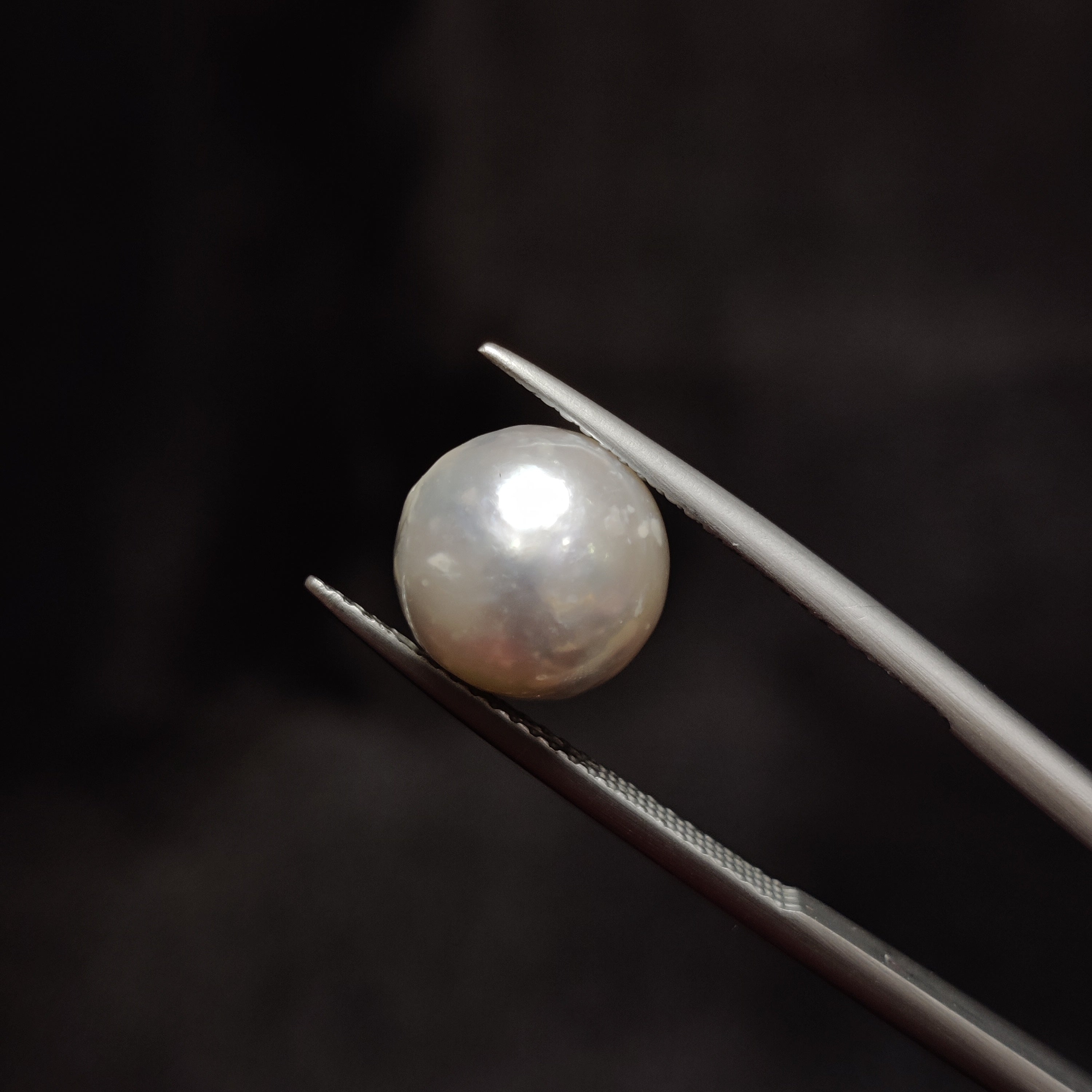 Pearl | Pearl 320 | 7.01 Carat