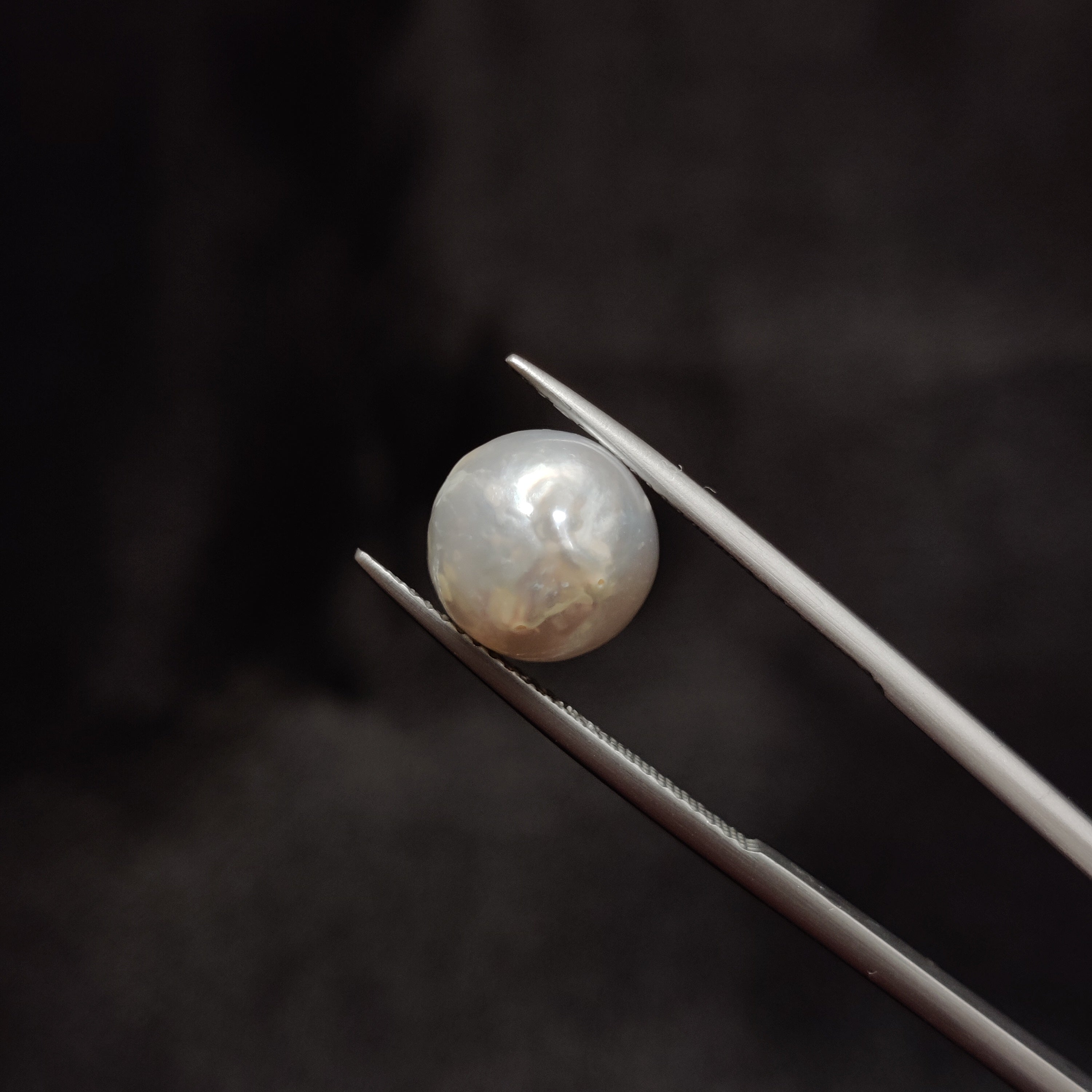Pearl | Pearl 320 | 7.01 Carat