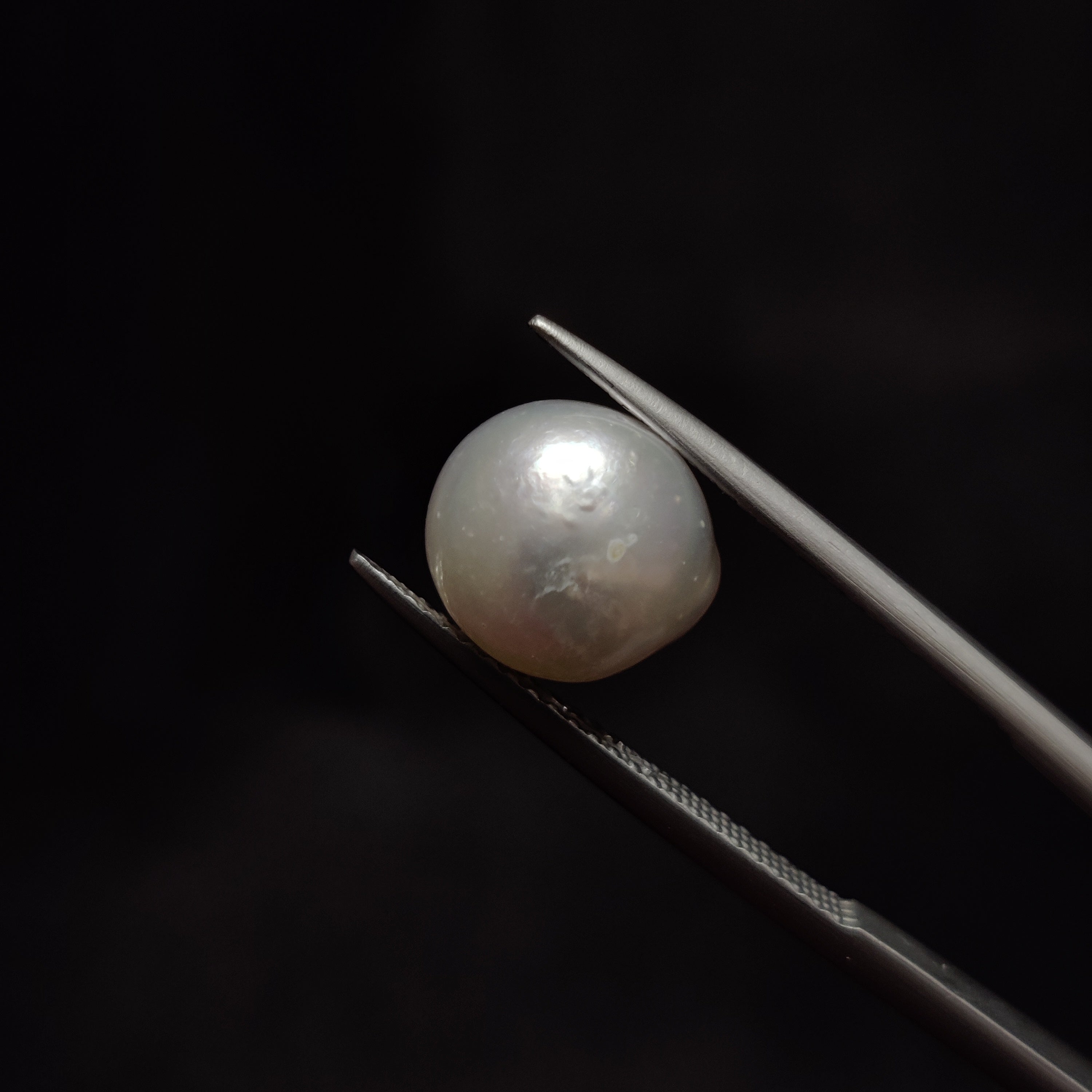 Pearl | Pearl 295 | 5.73 Carat