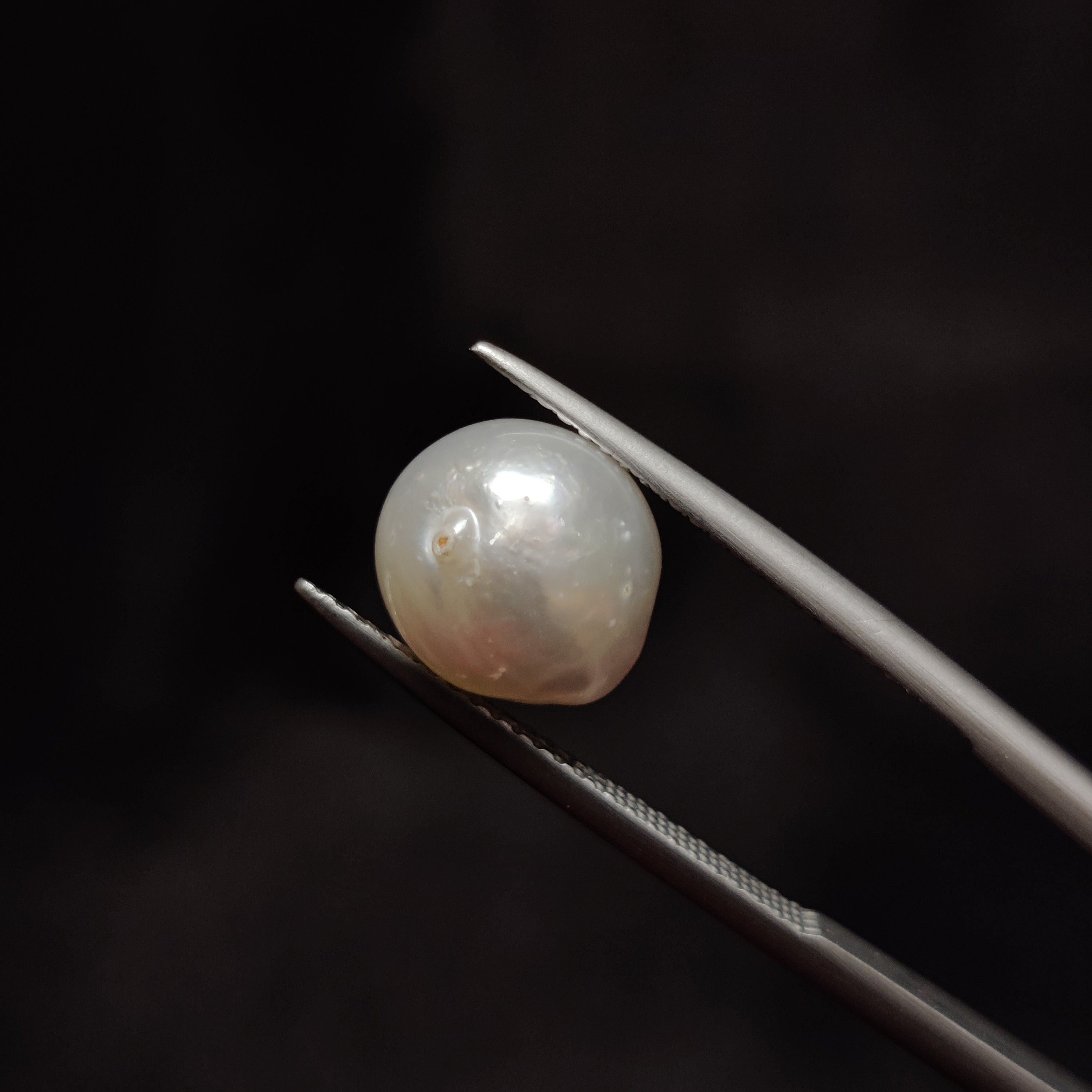 Pearl | Pearl 295 | 5.73 Carat