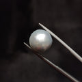 Pearl | Pearl 328 | 10.87 Carat