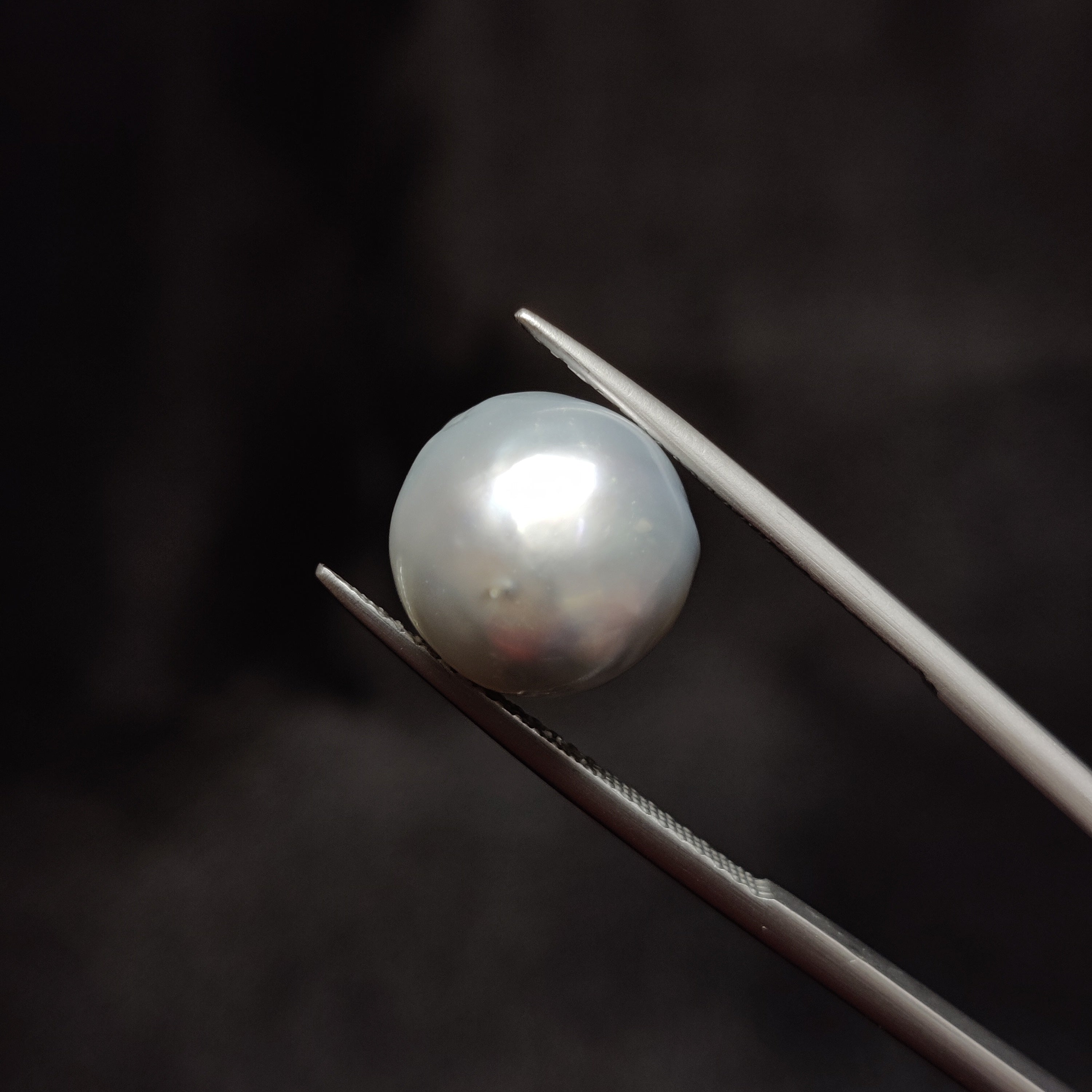 Pearl | Pearl 328 | 10.87 Carat