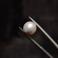 Pearl | Pearl 330 | 5.73 Carat