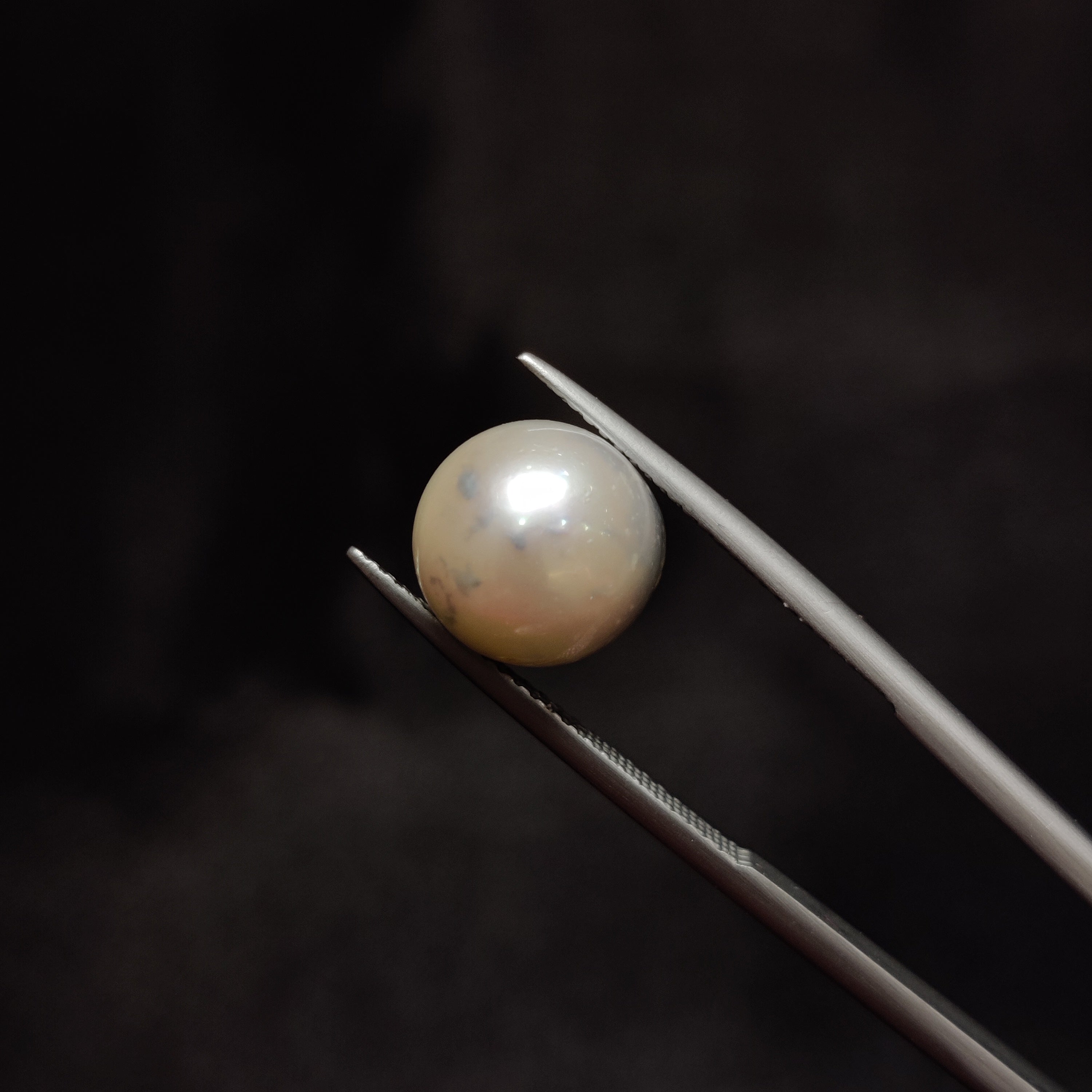 Pearl | Pearl 277 | 8.04 Carat