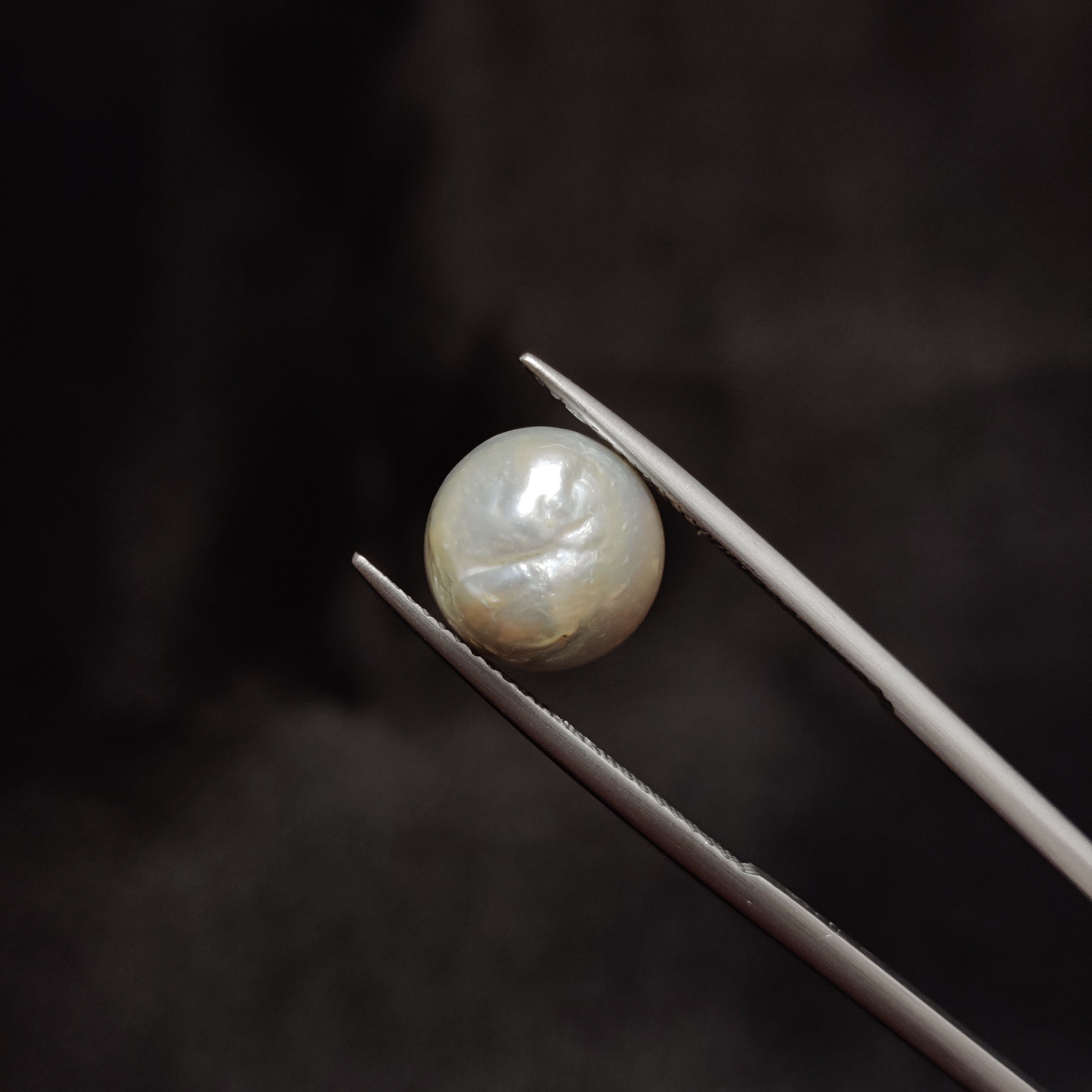 Pearl | Pearl 277 | 8.04 Carat