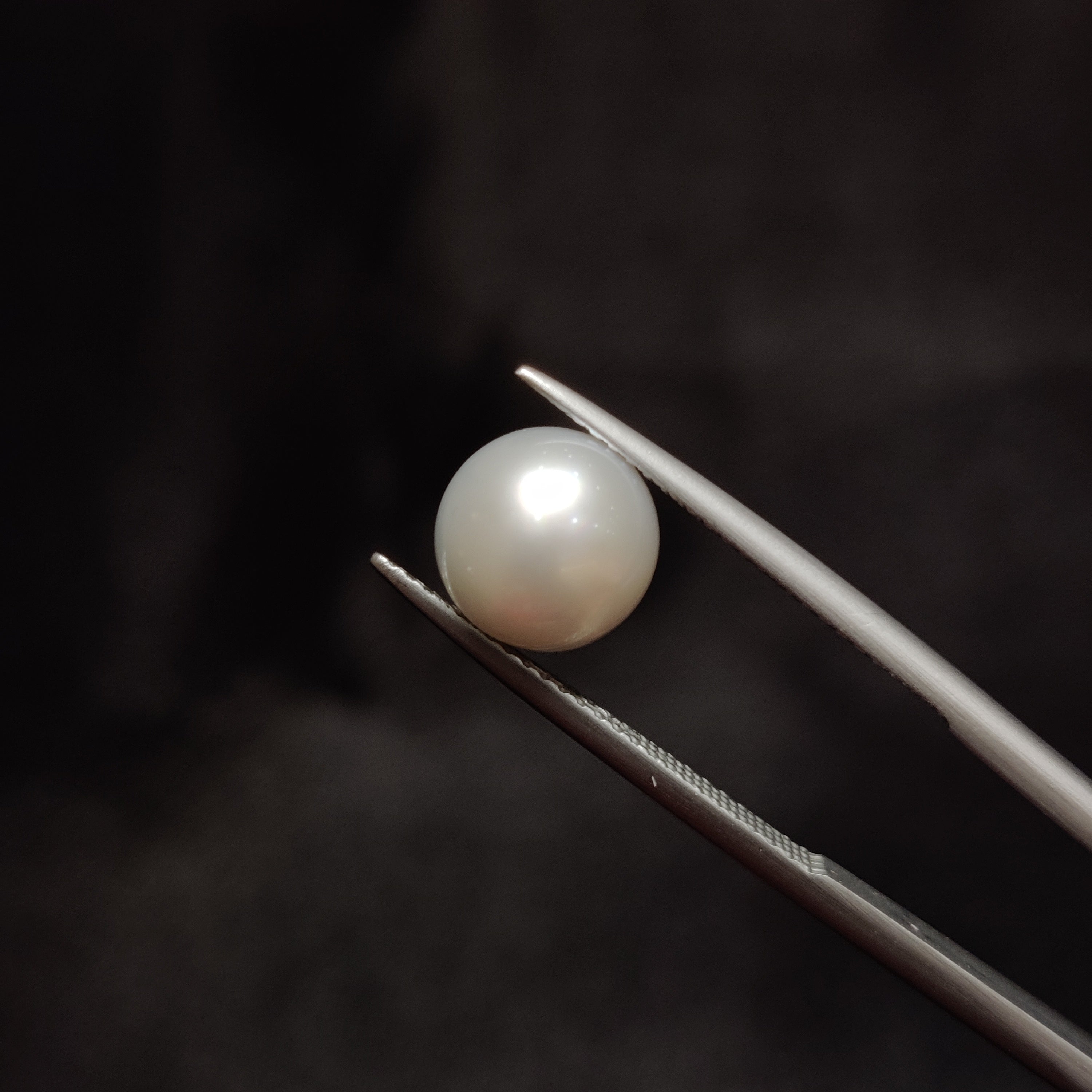 Pearl | Pearl 303 | 4.64 Carat