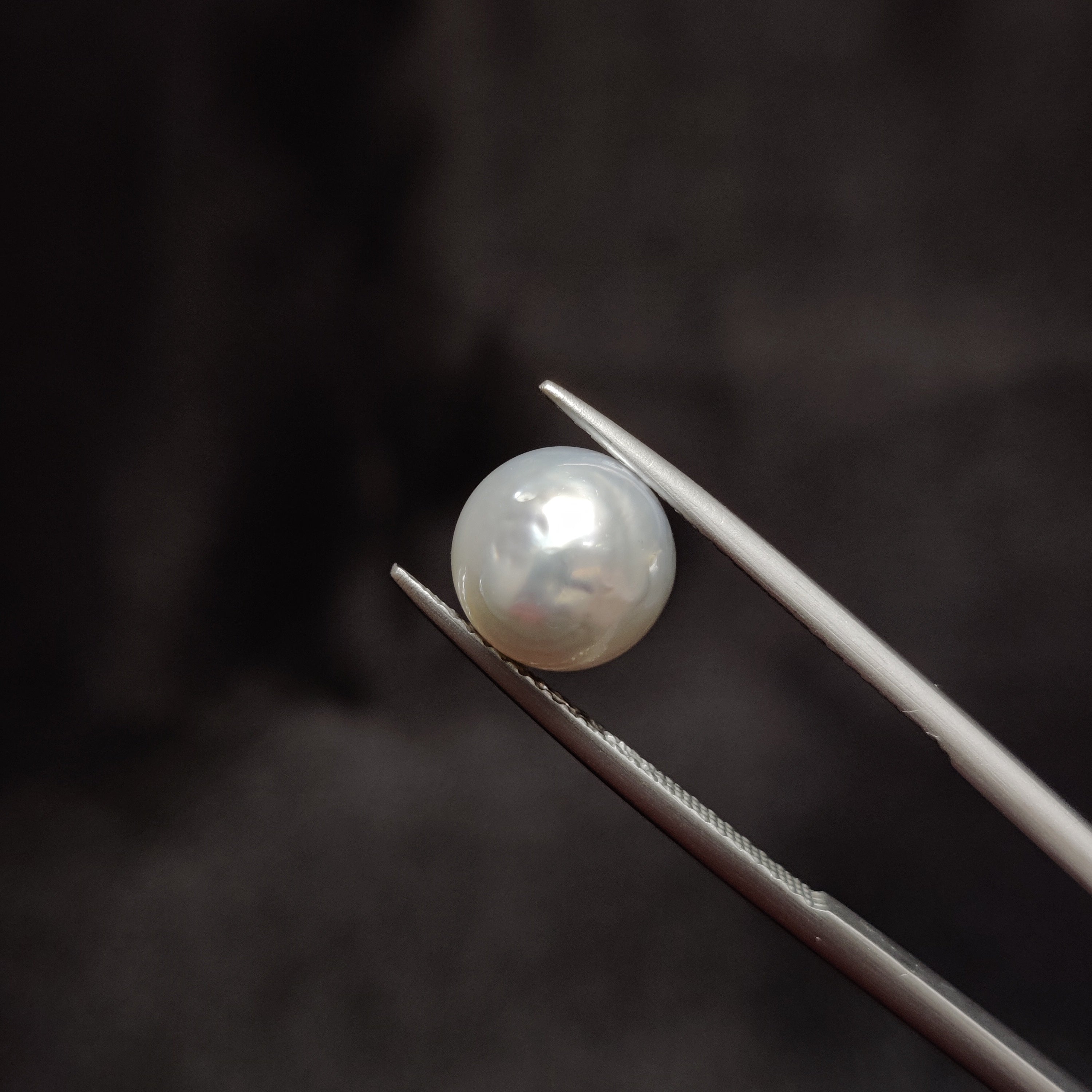 Pearl | Pearl 303 | 4.64 Carat