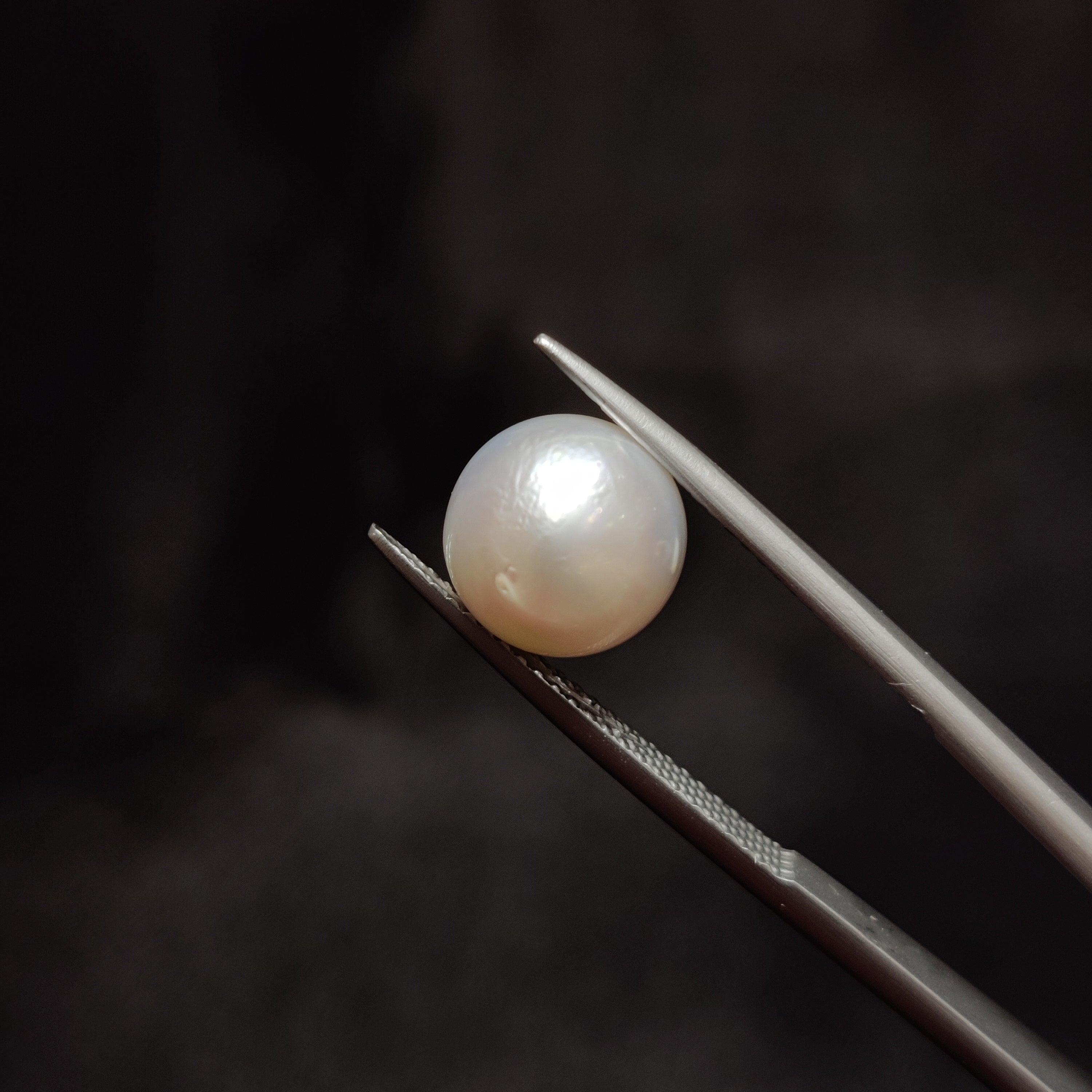Pearl | Pearl 324 | 5.83 Carat