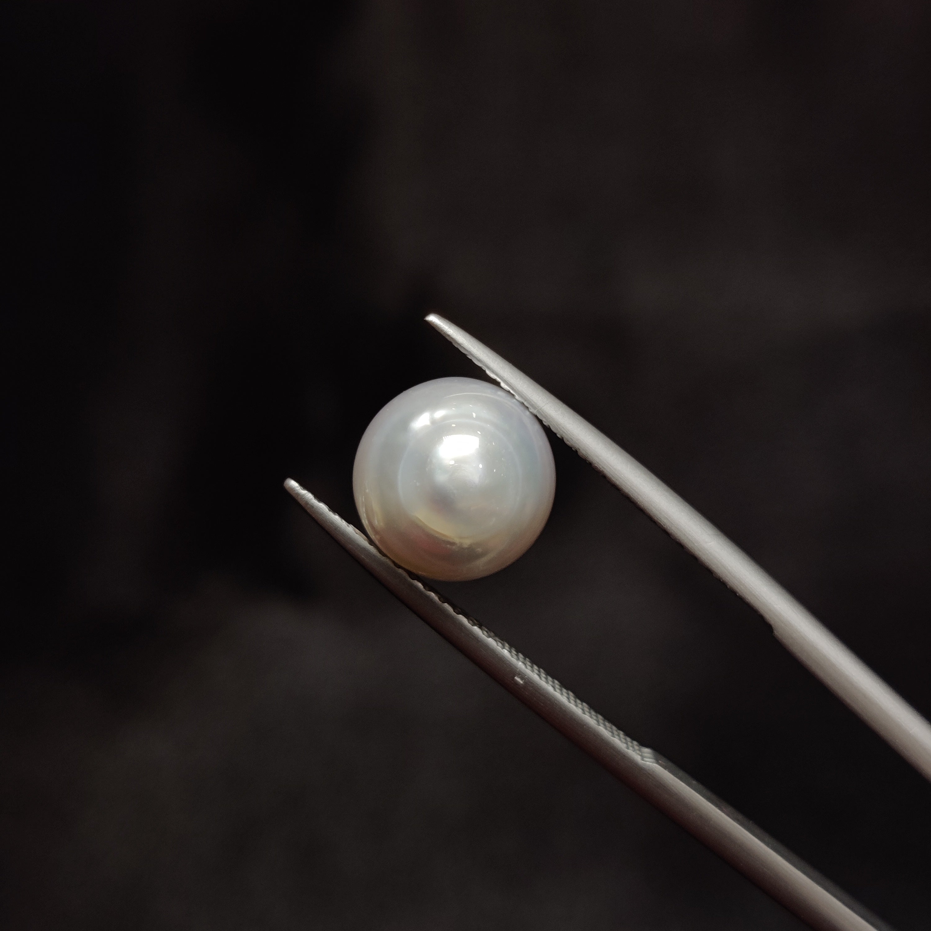 Pearl | Pearl 324 | 5.83 Carat