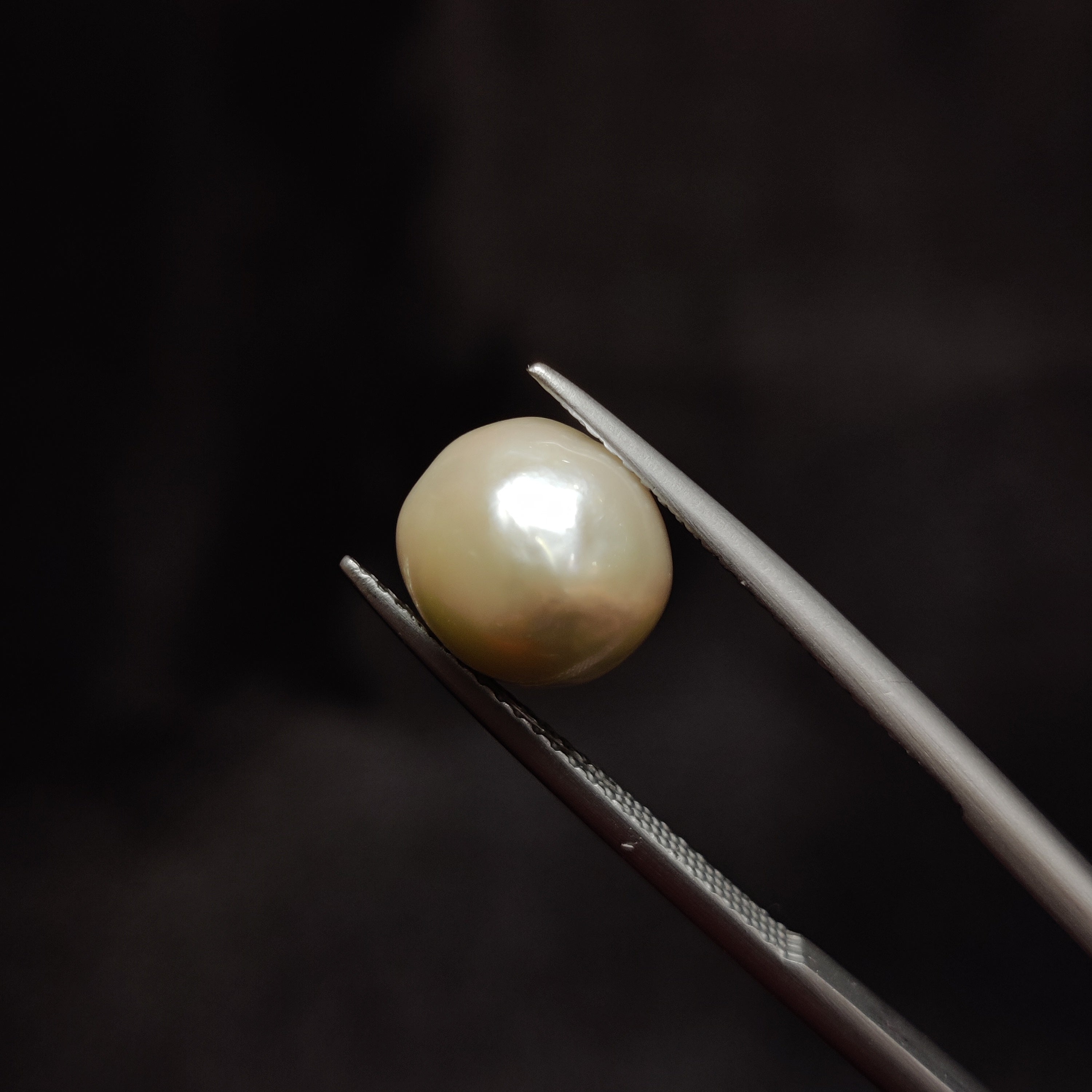 Pearl | Pearl 289 | 5.19 Carat