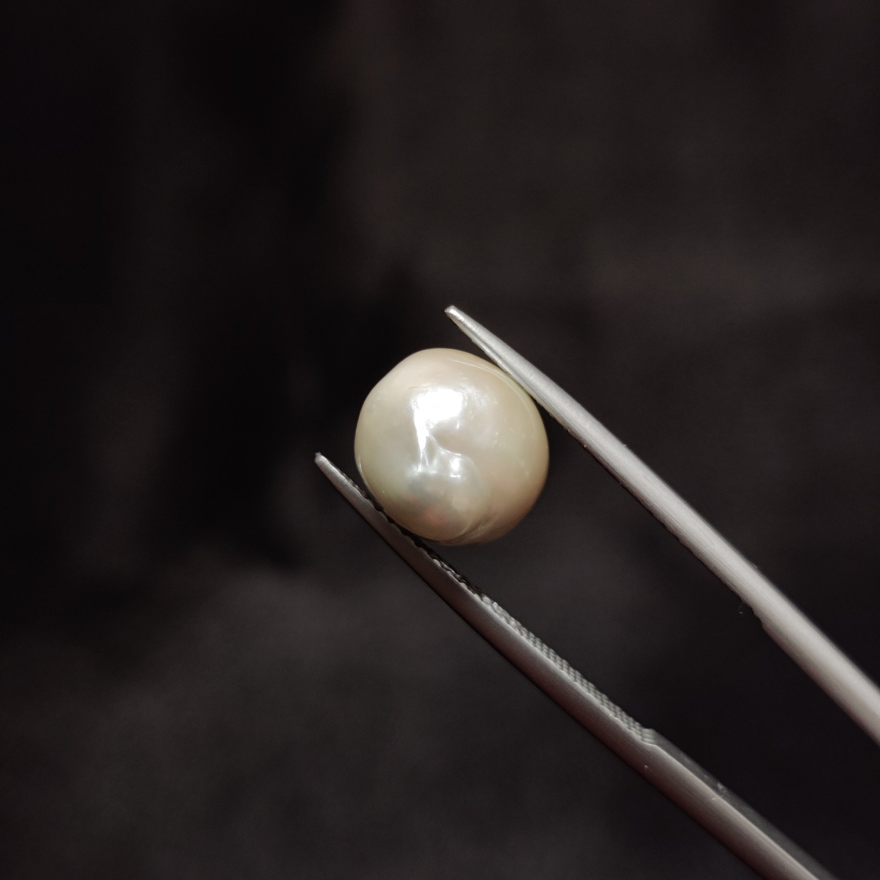 Pearl | Pearl 289 | 5.19 Carat