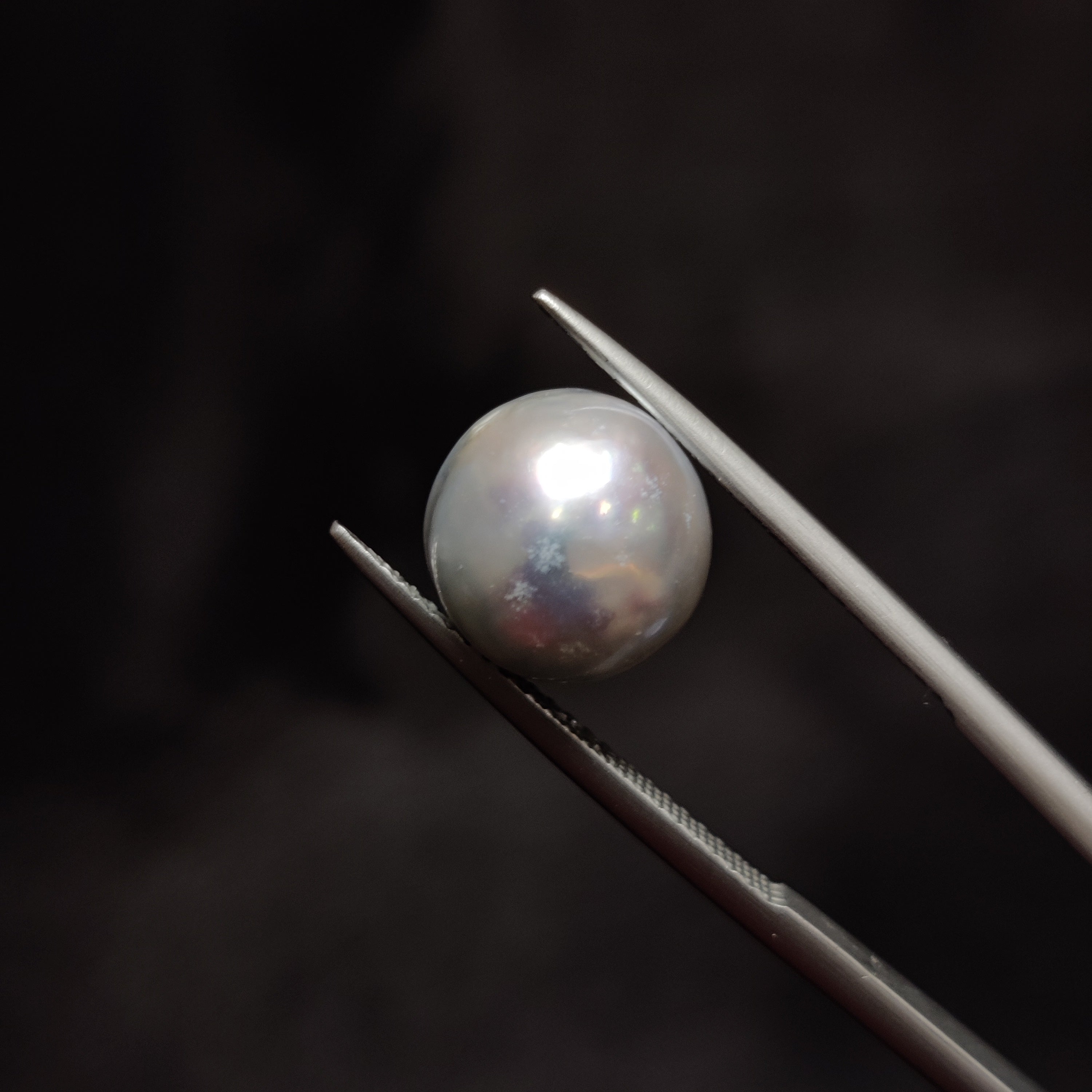 Pearl | Pearl 327 | 7.83 Carat