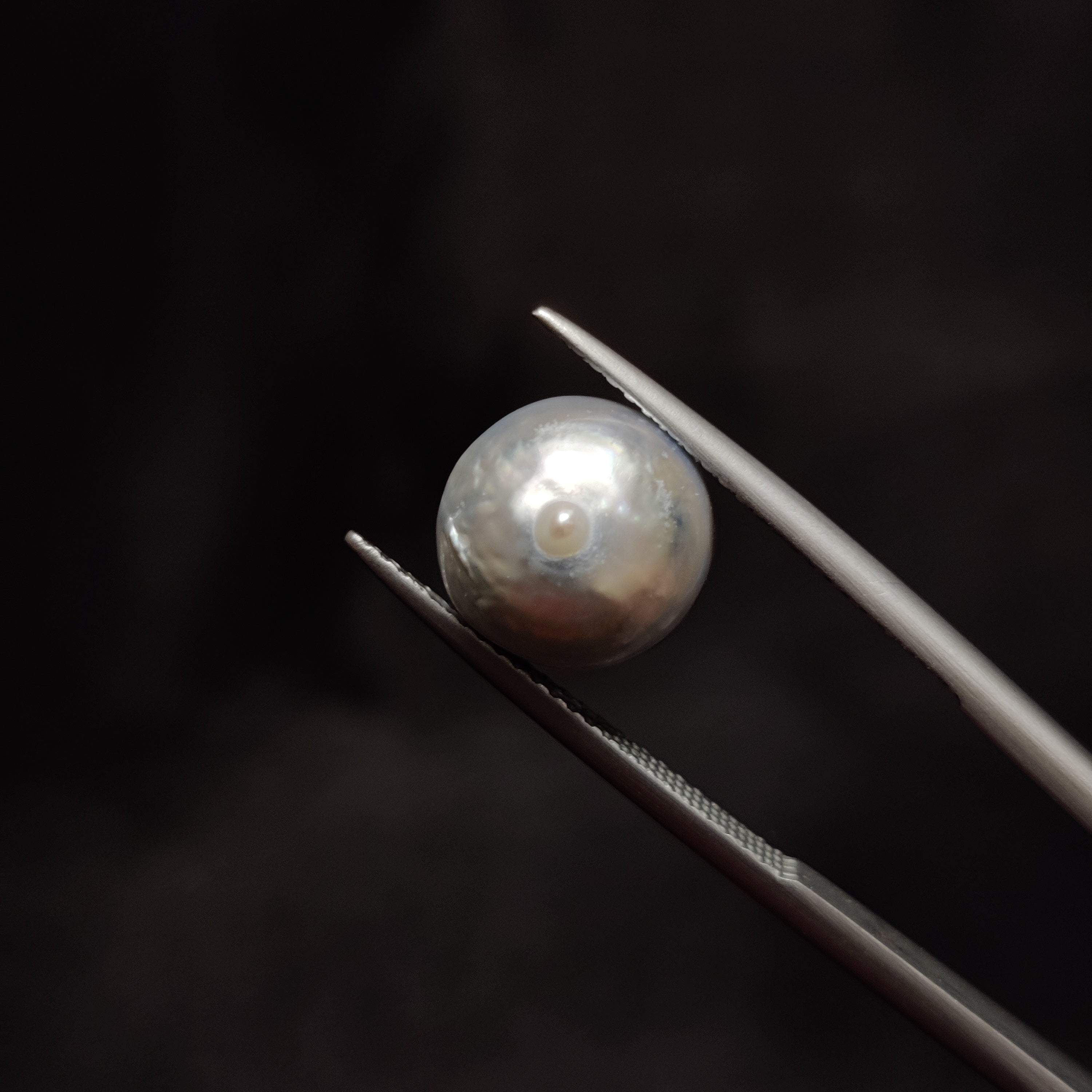 Pearl | Pearl 327 | 7.83 Carat