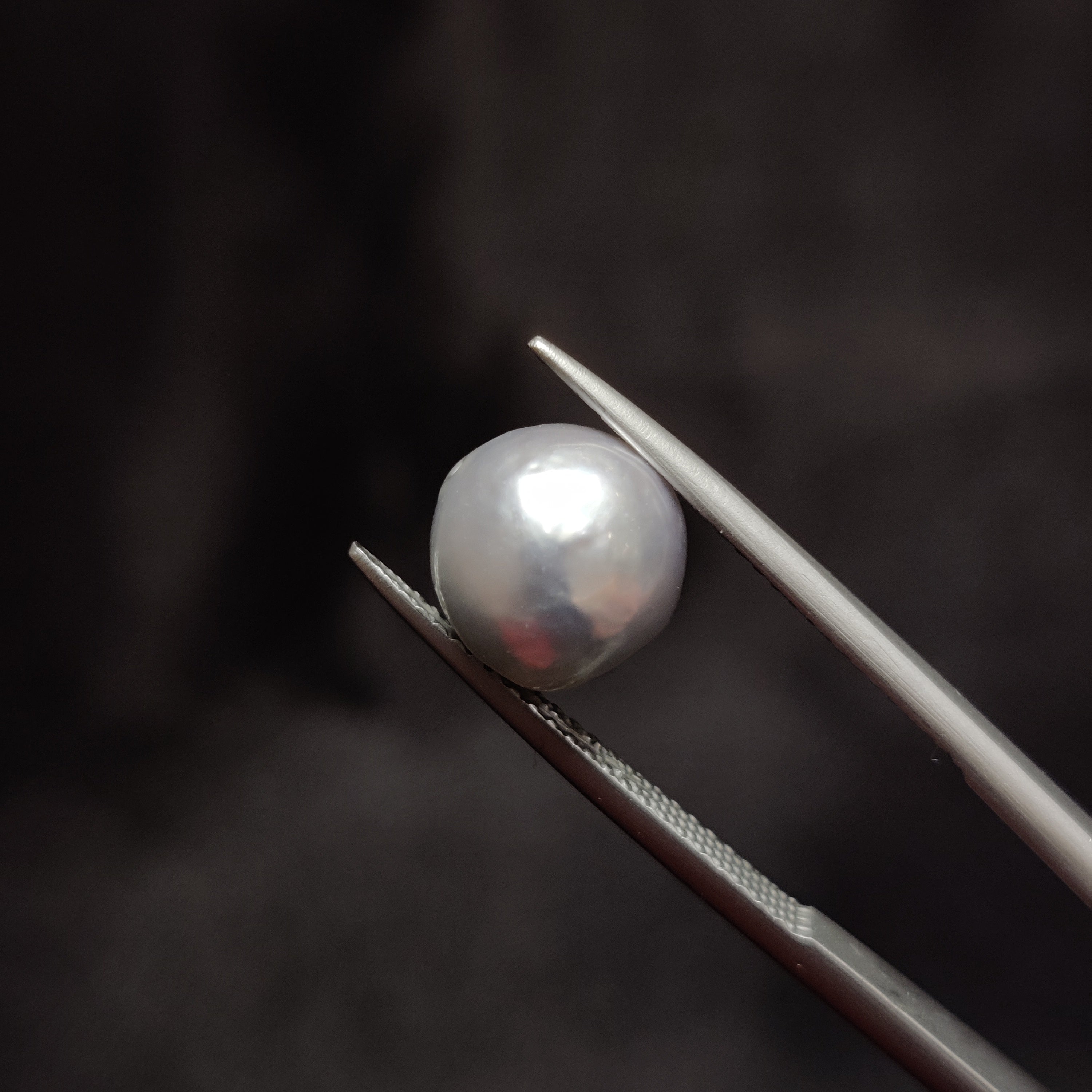 Pearl | Pearl 286 | 5.32 Carat
