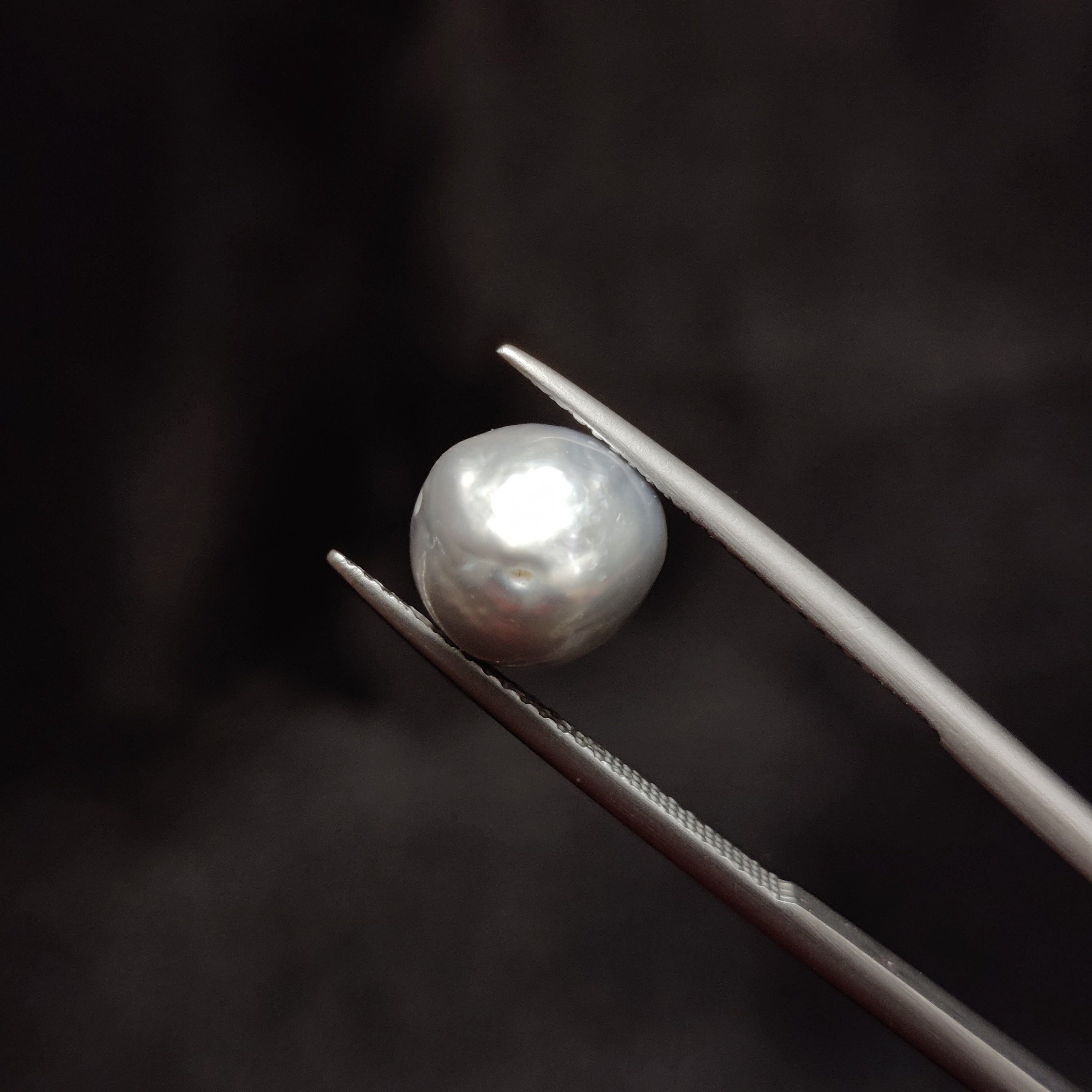 Pearl | Pearl 286 | 5.32 Carat