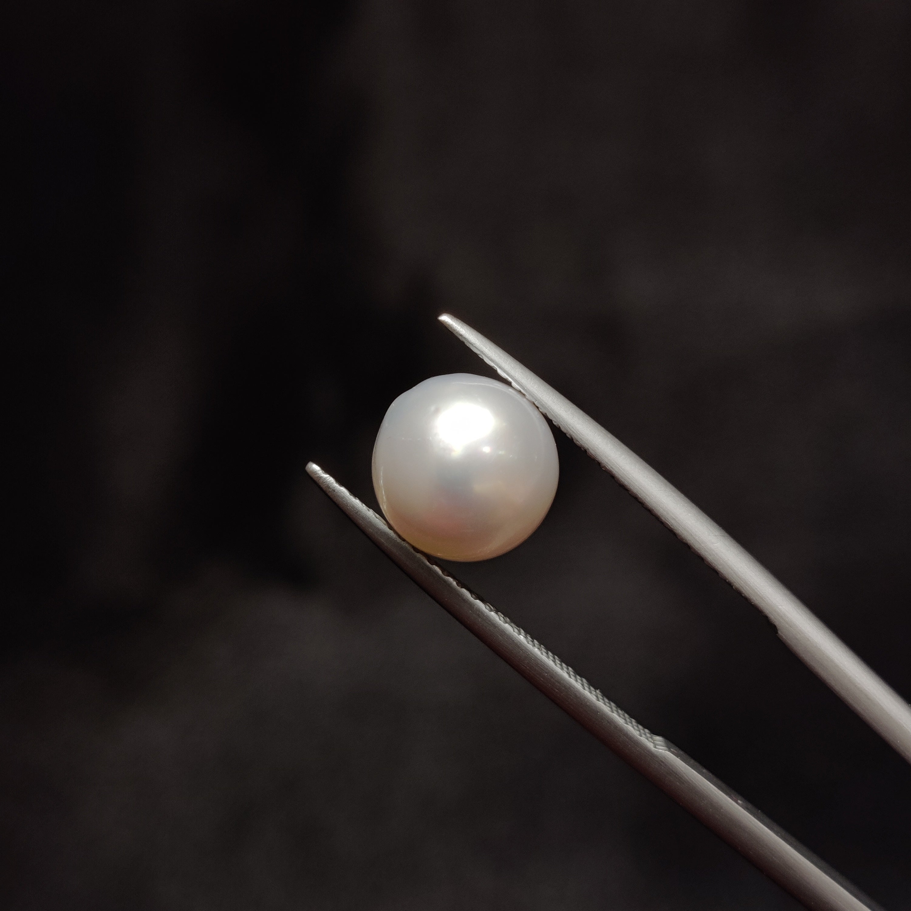 Pearl | Pearl 319 | 5 Carat
