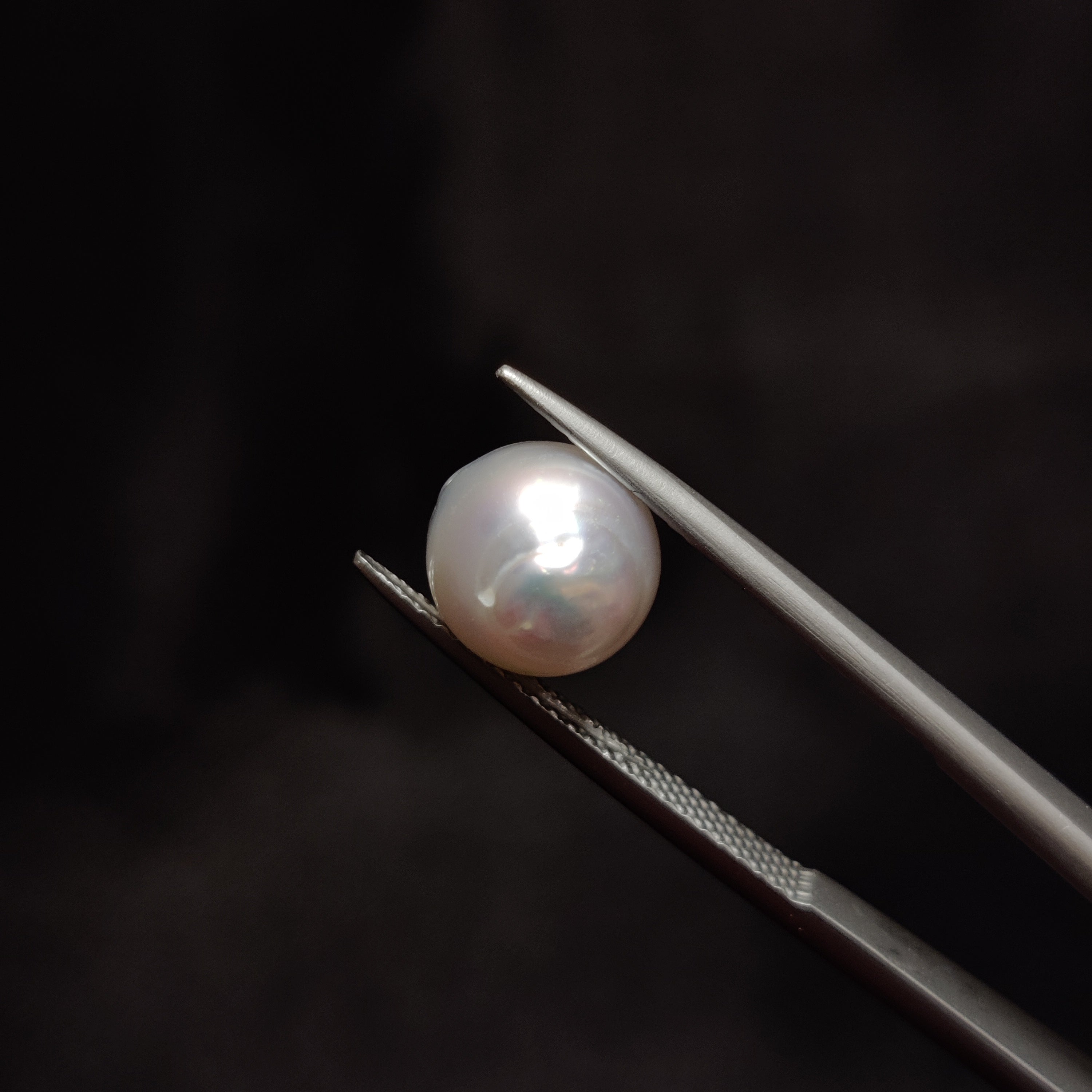 Pearl | Pearl 319 | 5 Carat