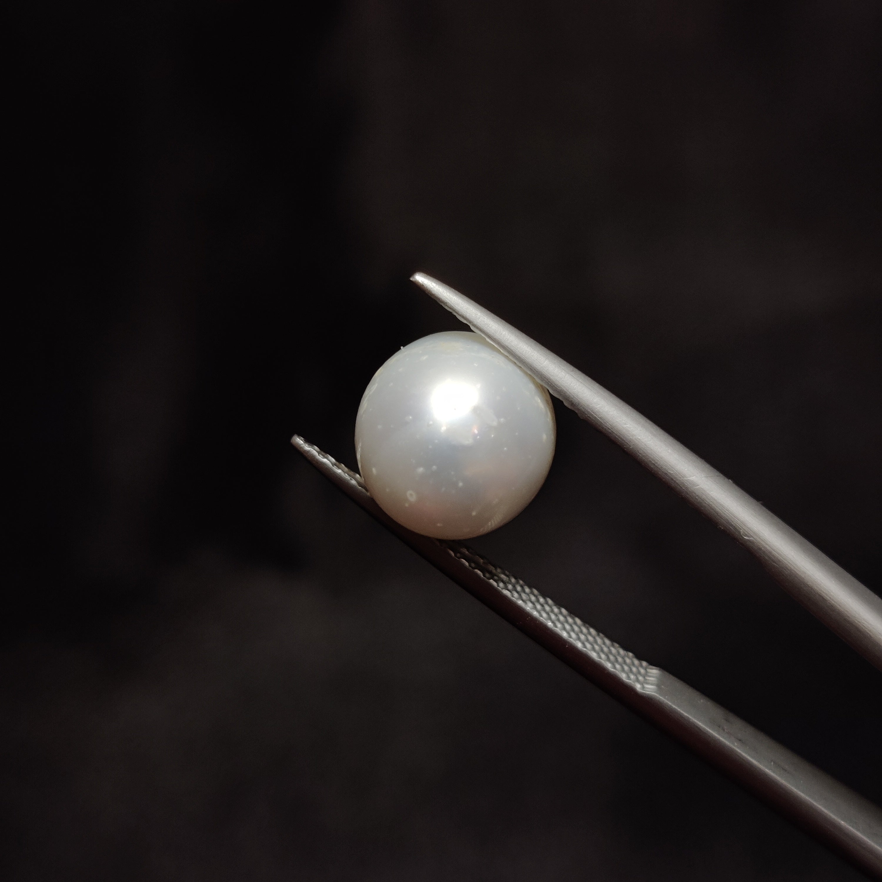 Pearl | Pearl 297 | 6.98 Carat
