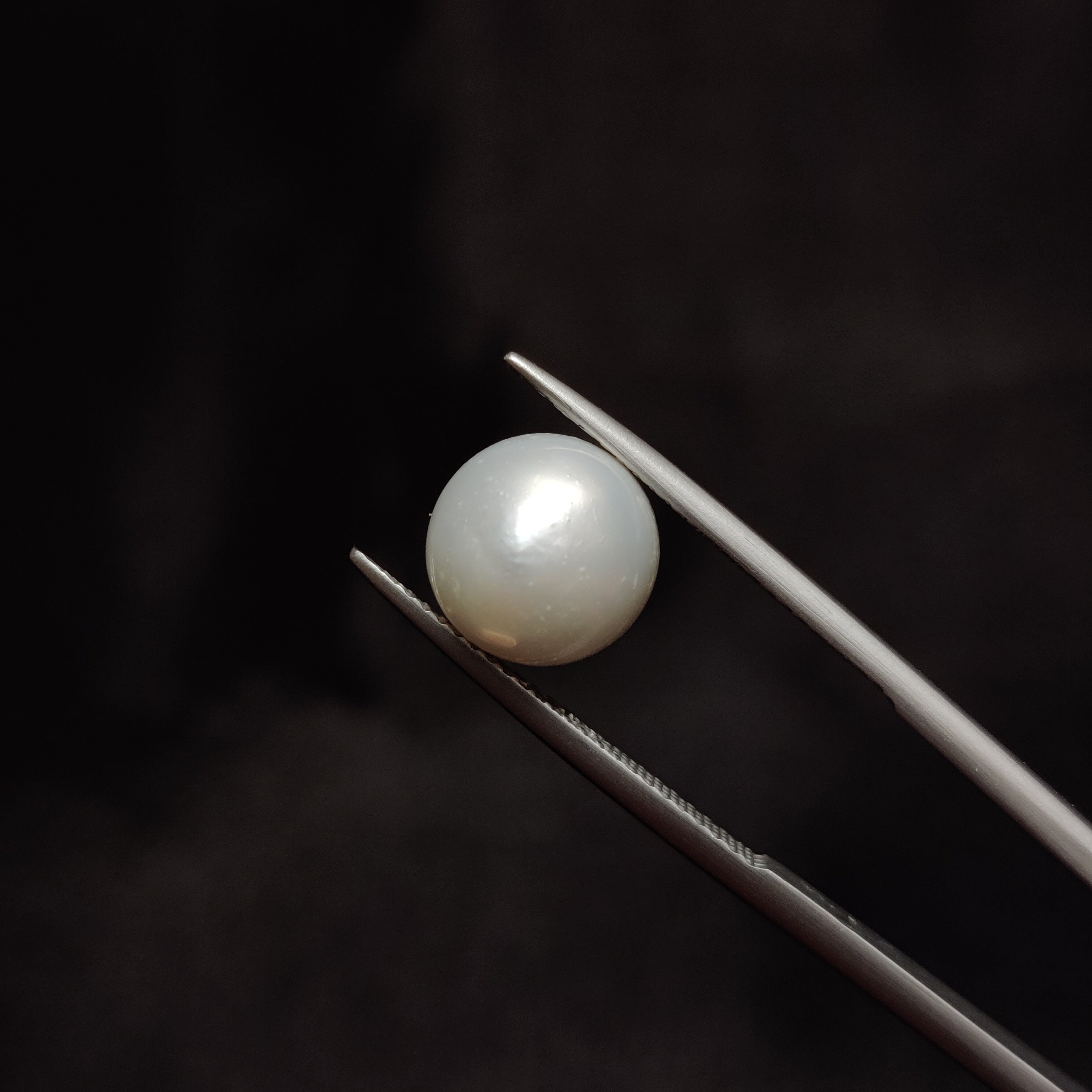 Pearl | Pearl 297 | 6.98 Carat