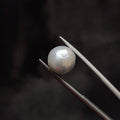 Pearl | Pearl 284 | 6.97 Carat