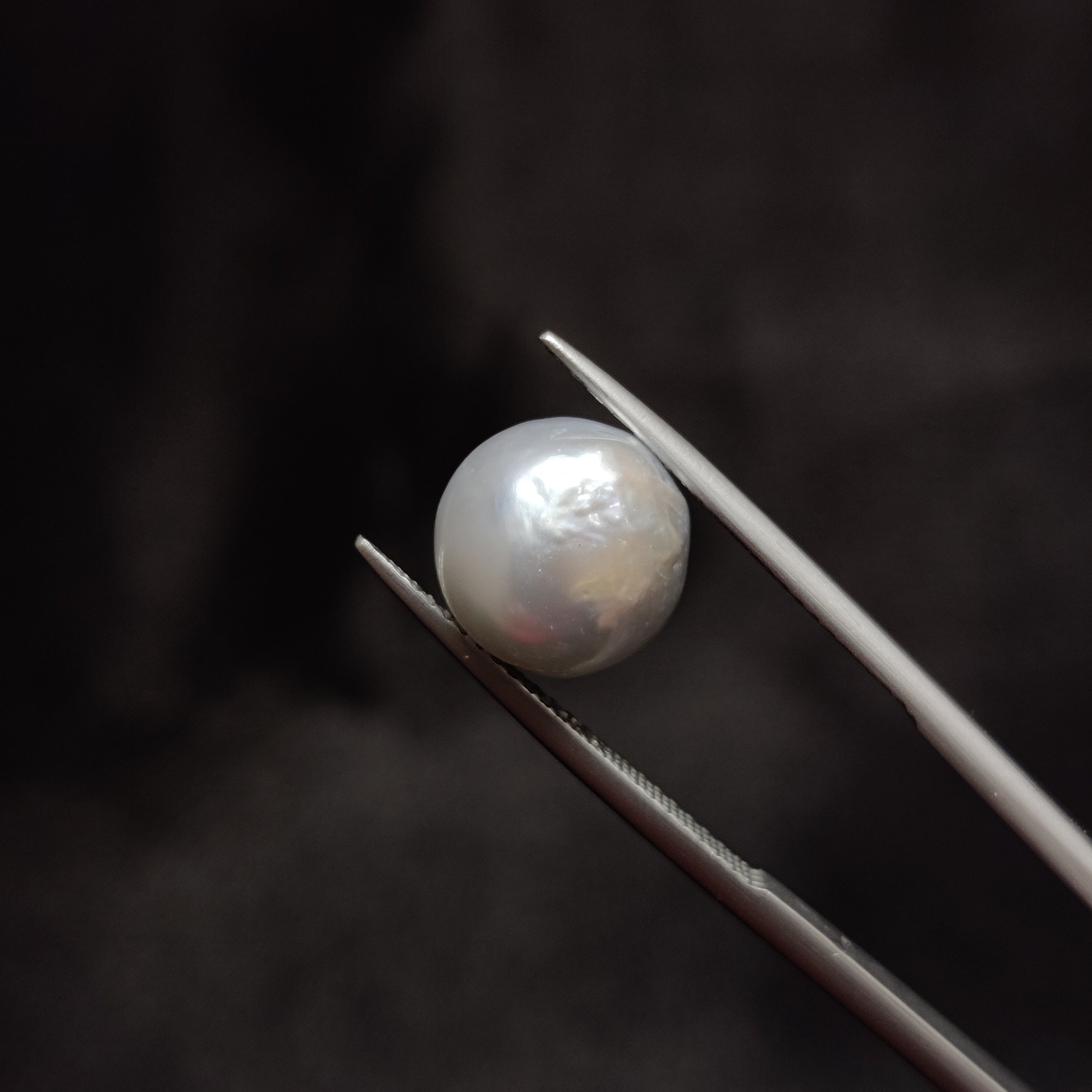 Pearl | Pearl 284 | 6.97 Carat