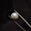 Pearl | Pearl 325 | 5.33 Carat
