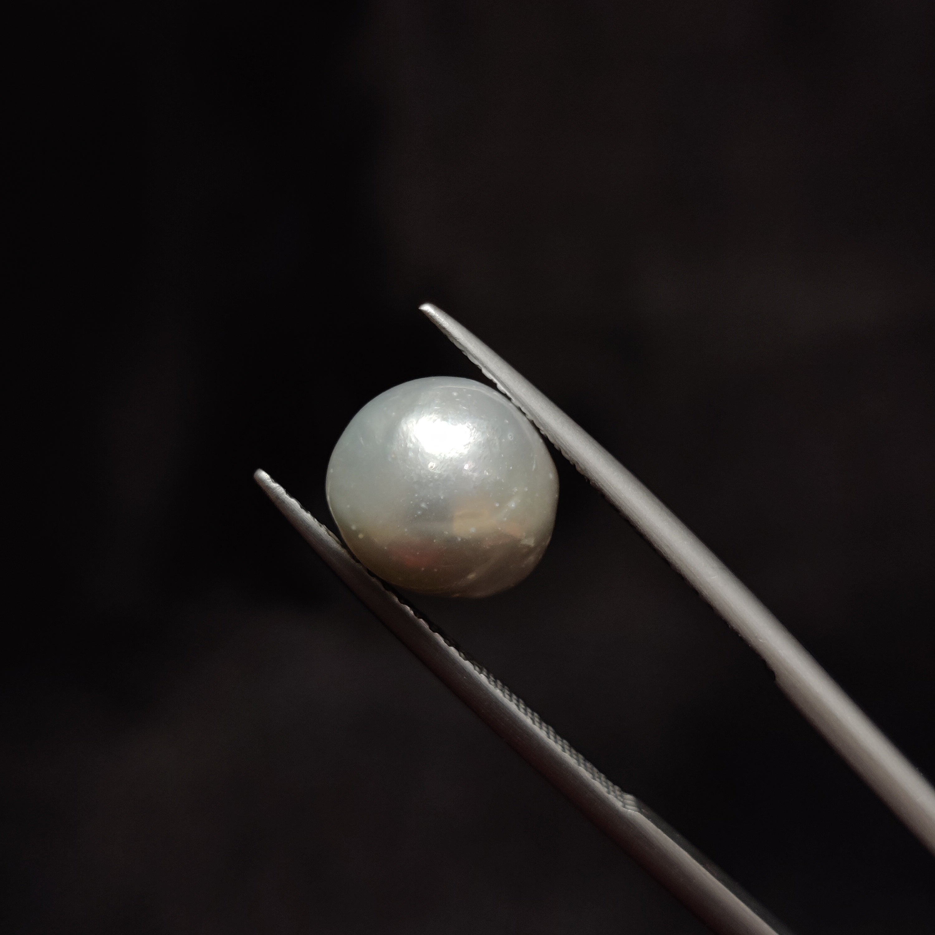 Pearl | Pearl 325 | 5.33 Carat