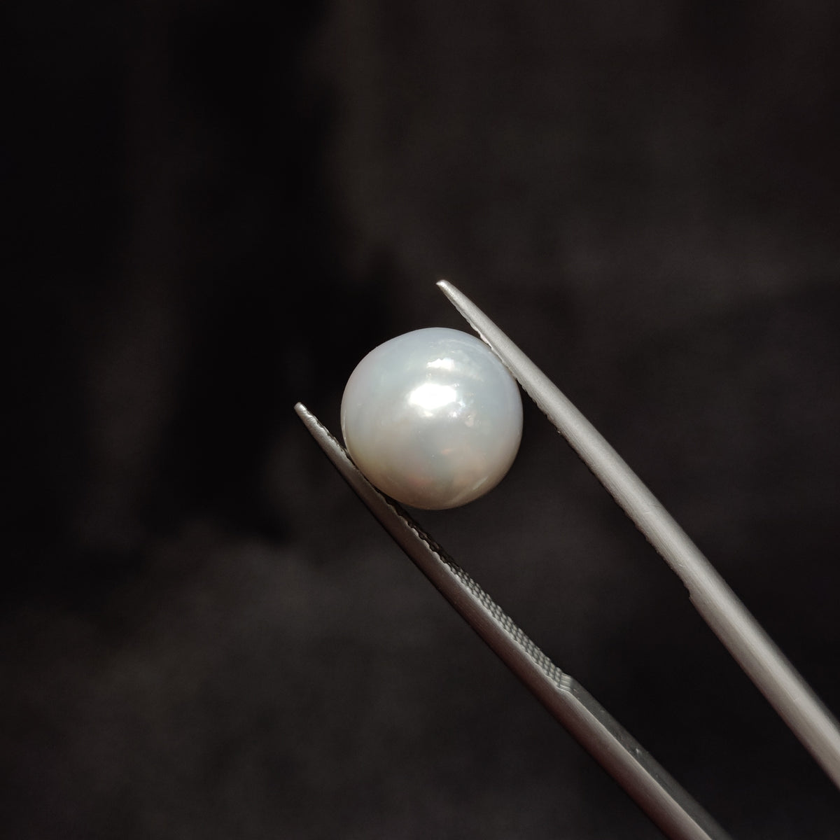 Natural Pearl (Moti) | Pearl 282 | 6.26 Carat | Certified