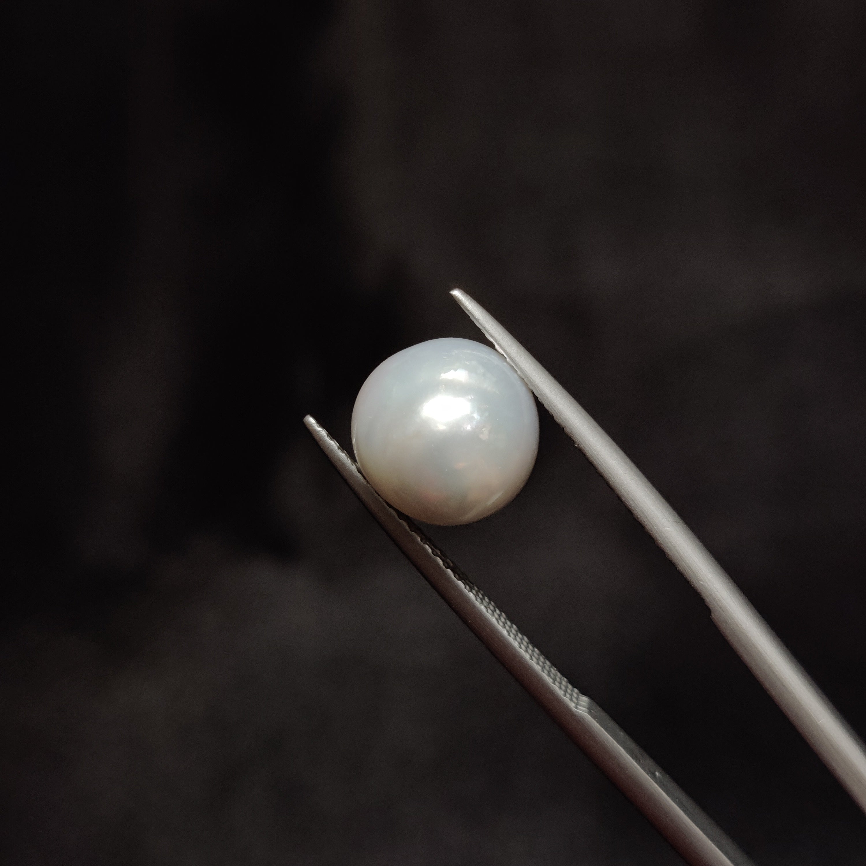 Pearl | Pearl 282 | 6.26 Carat